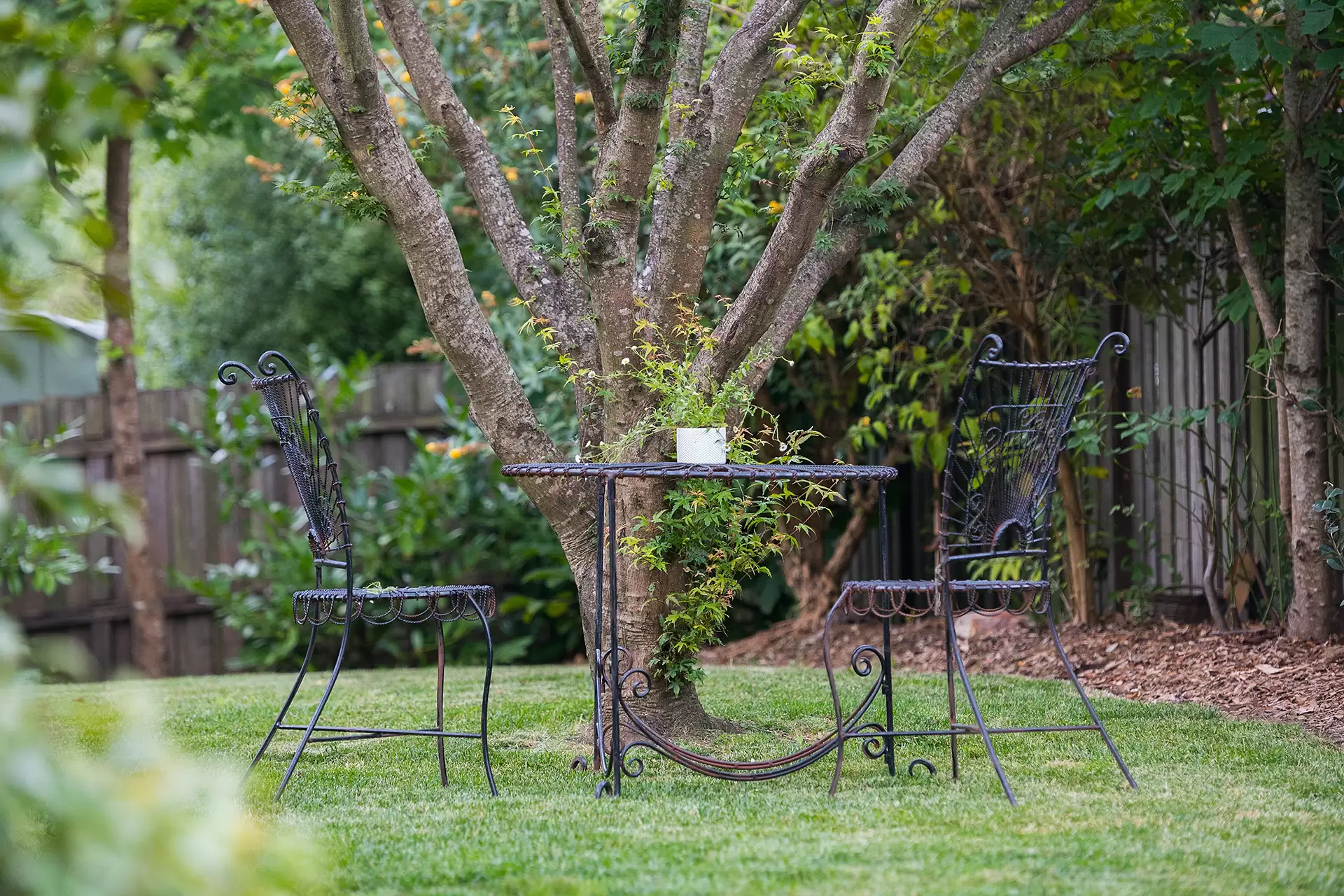 11 Plane Tree Close, Bowral Sold by Drew Lindsay Sotheby's International Realty - image 16