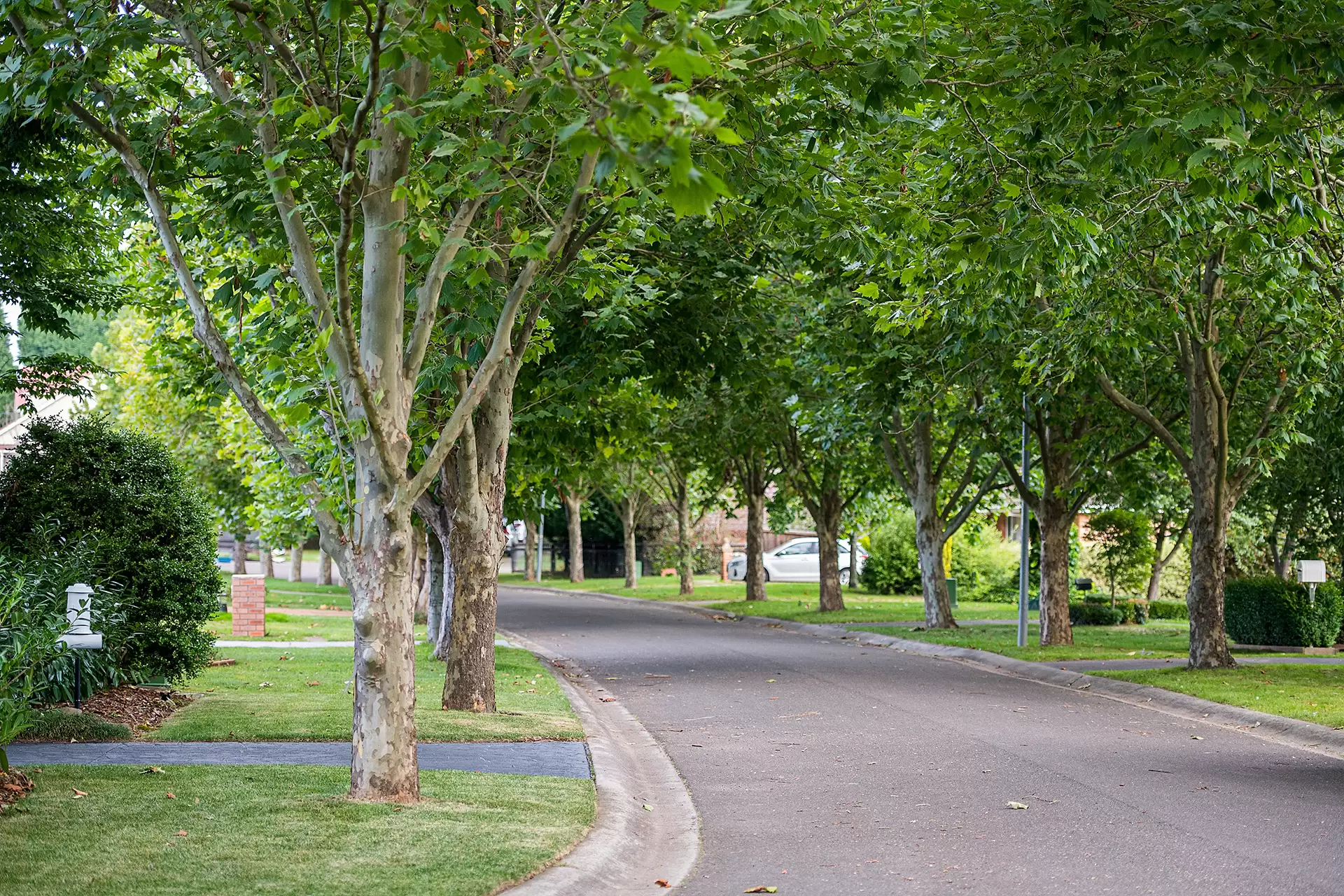 11 Plane Tree Close, Bowral Sold by Drew Lindsay Sotheby's International Realty - image 20