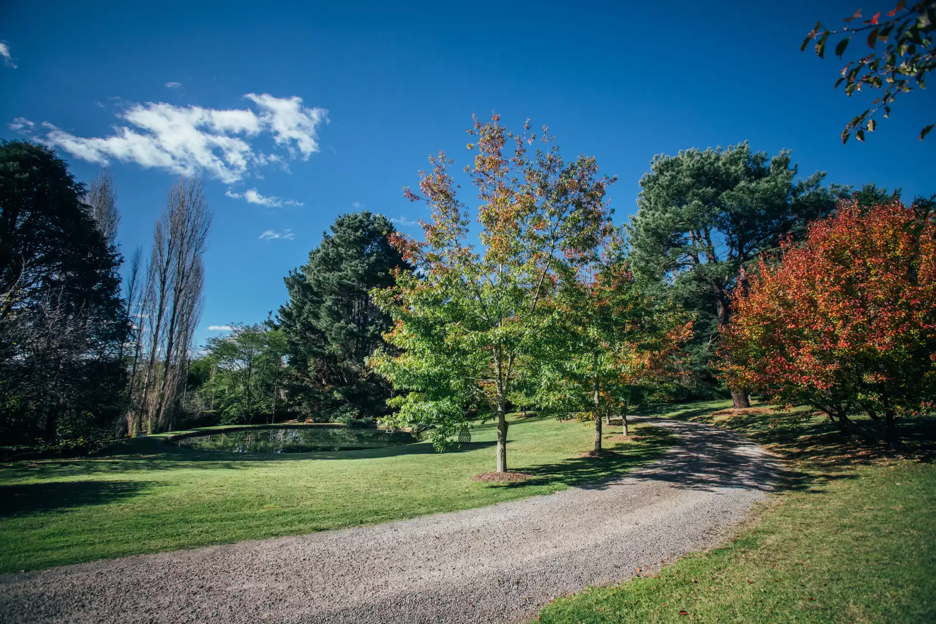 7-9 Oldbury Street, Berrima Sold by Drew Lindsay Sotheby's International Realty - image 8