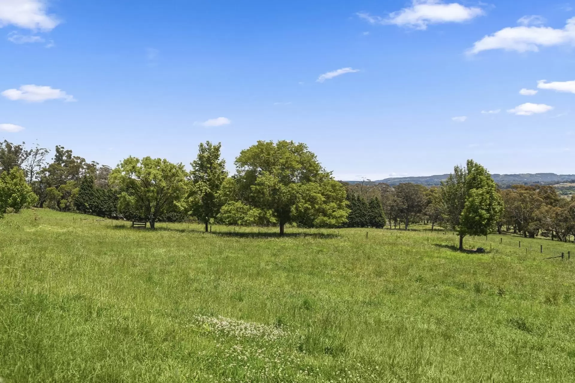 980 Range Road, Glenquarry Sold by Drew Lindsay Sotheby's International Realty - image 5