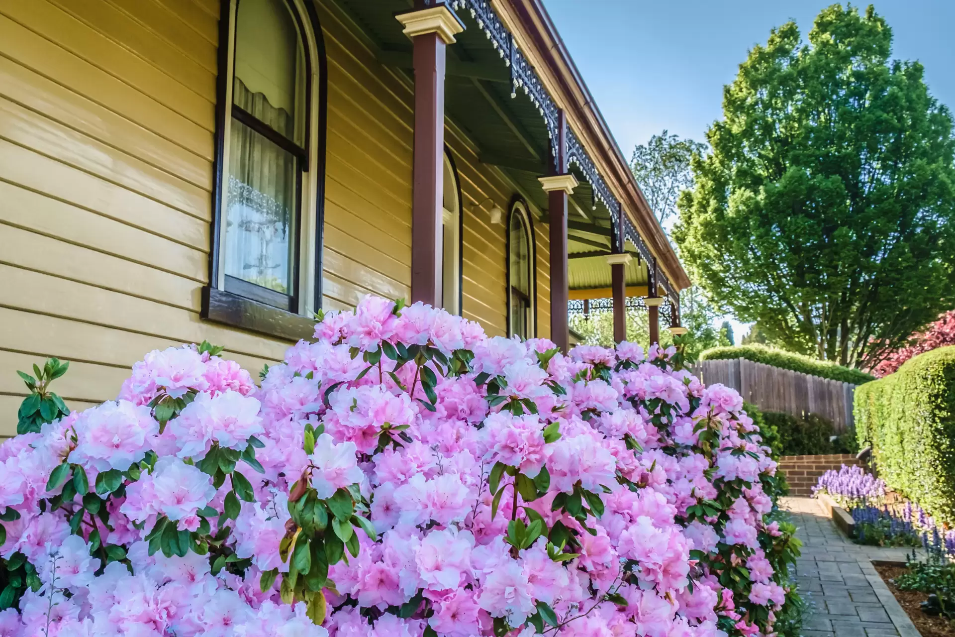 52 Shepherd Street, Bowral Sold by Drew Lindsay Sotheby's International Realty - image 5