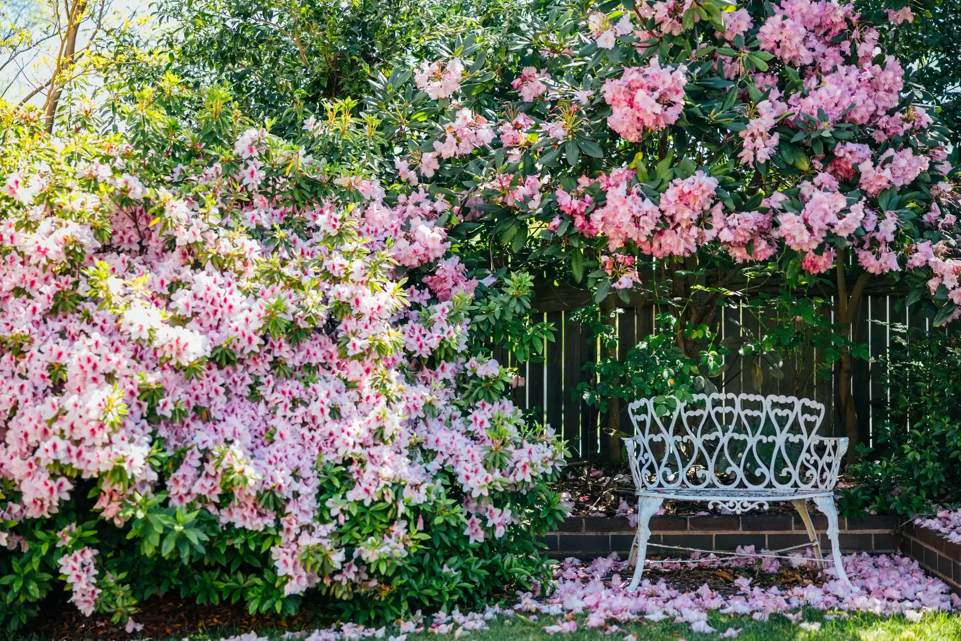 52 Shepherd Street, Bowral Sold by Drew Lindsay Sotheby's International Realty - image 19