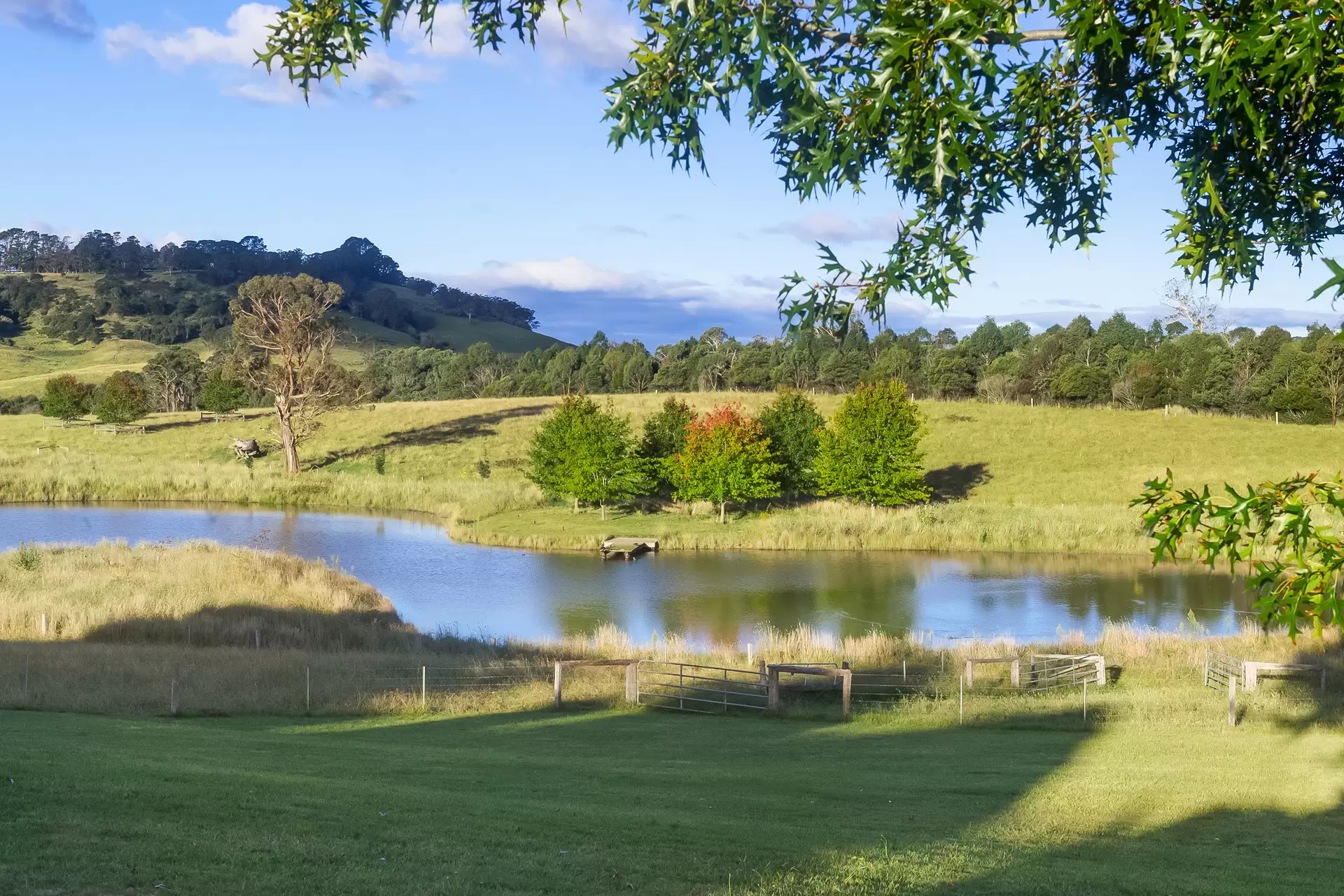 230 Golden Vale Road, Sutton Forest For Sale by Drew Lindsay Sotheby's International Realty - image 21