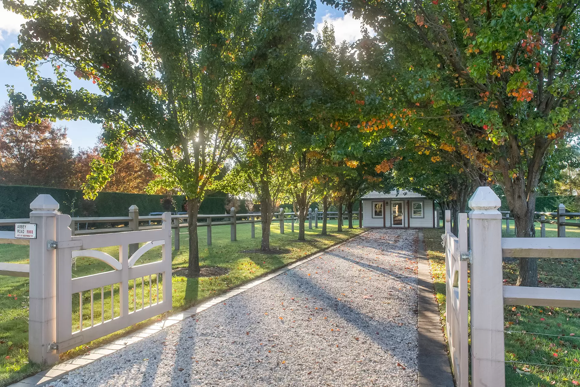230 Golden Vale Road, Sutton Forest For Sale by Drew Lindsay Sotheby's International Realty - image 19
