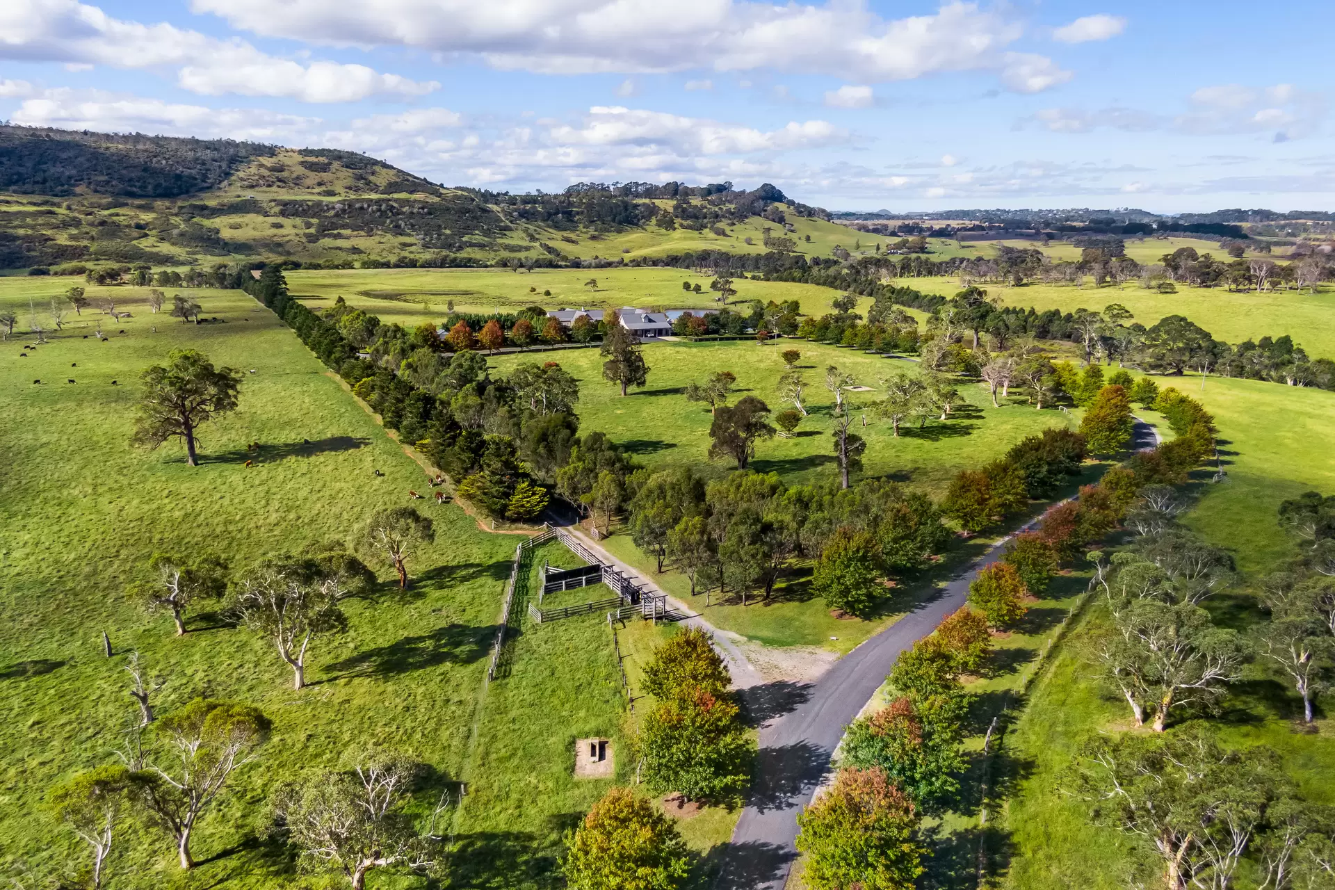230 Golden Vale Road, Sutton Forest For Sale by Drew Lindsay Sotheby's International Realty - image 29