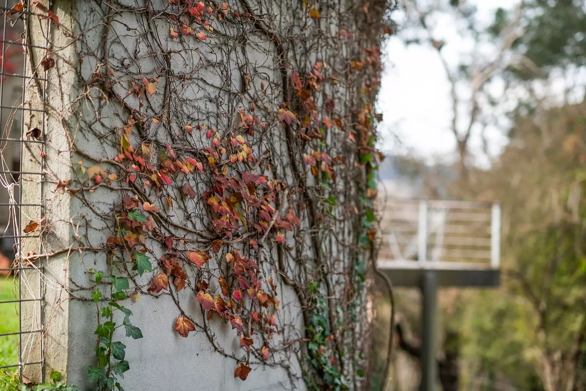 3 Parry Drive, Bowral For Sale by Drew Lindsay Sotheby's International Realty - image 22