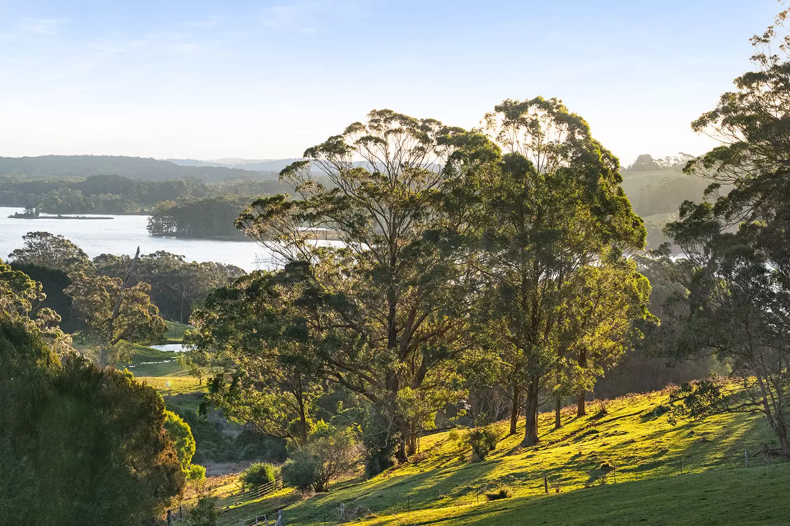 421 Myra Vale Road, Wildes Meadow For Sale by Drew Lindsay Sotheby's International Realty - image 17