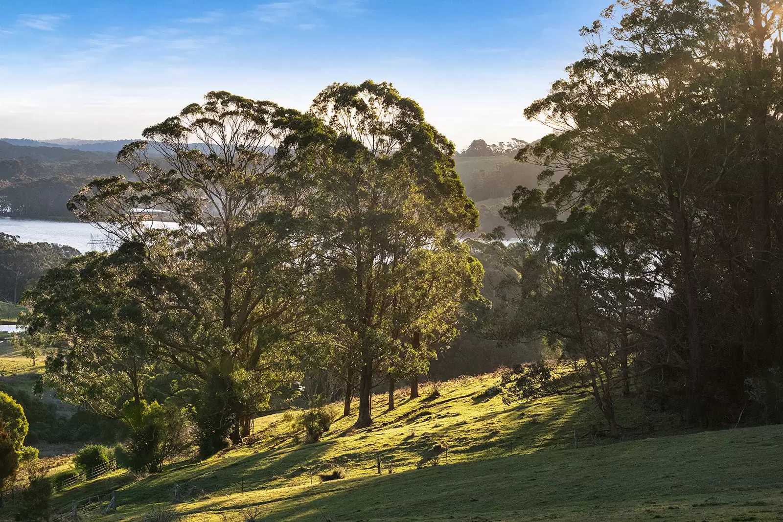 421 Myra Vale Road, Wildes Meadow For Sale by Drew Lindsay Sotheby's International Realty - image 15