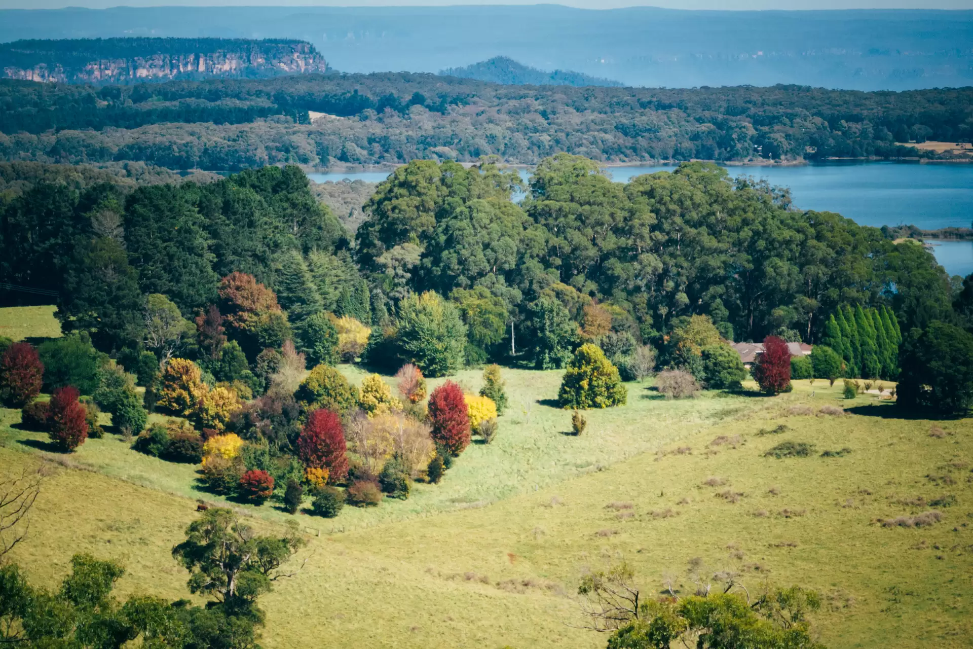 421 Myra Vale Road, Wildes Meadow For Sale by Drew Lindsay Sotheby's International Realty - image 6