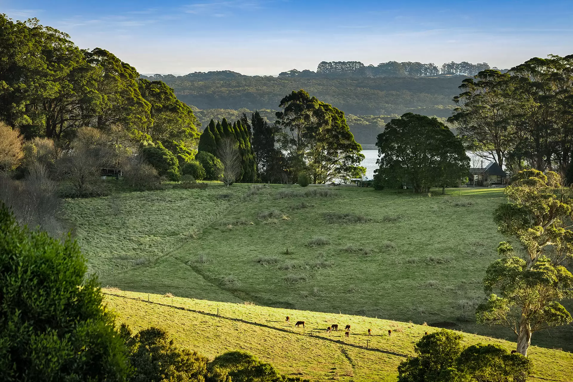 421 Myra Vale Road, Wildes Meadow For Sale by Drew Lindsay Sotheby's International Realty - image 2