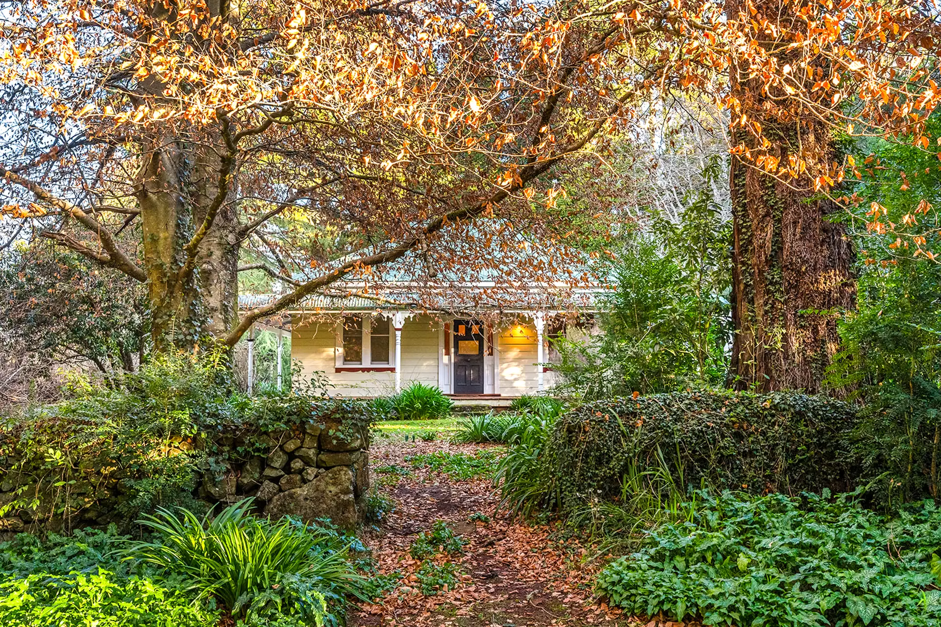 421 Myra Vale Road, Wildes Meadow For Sale by Drew Lindsay Sotheby's International Realty - image 8