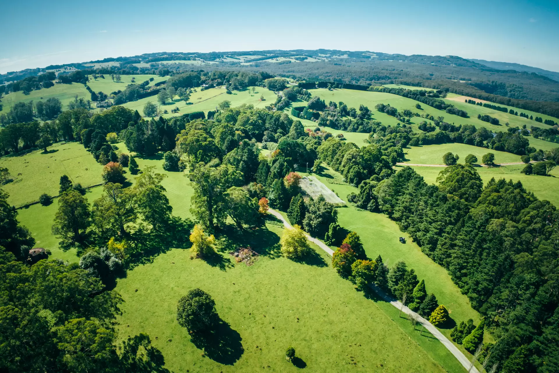 421 Myra Vale Road, Wildes Meadow For Sale by Drew Lindsay Sotheby's International Realty - image 4