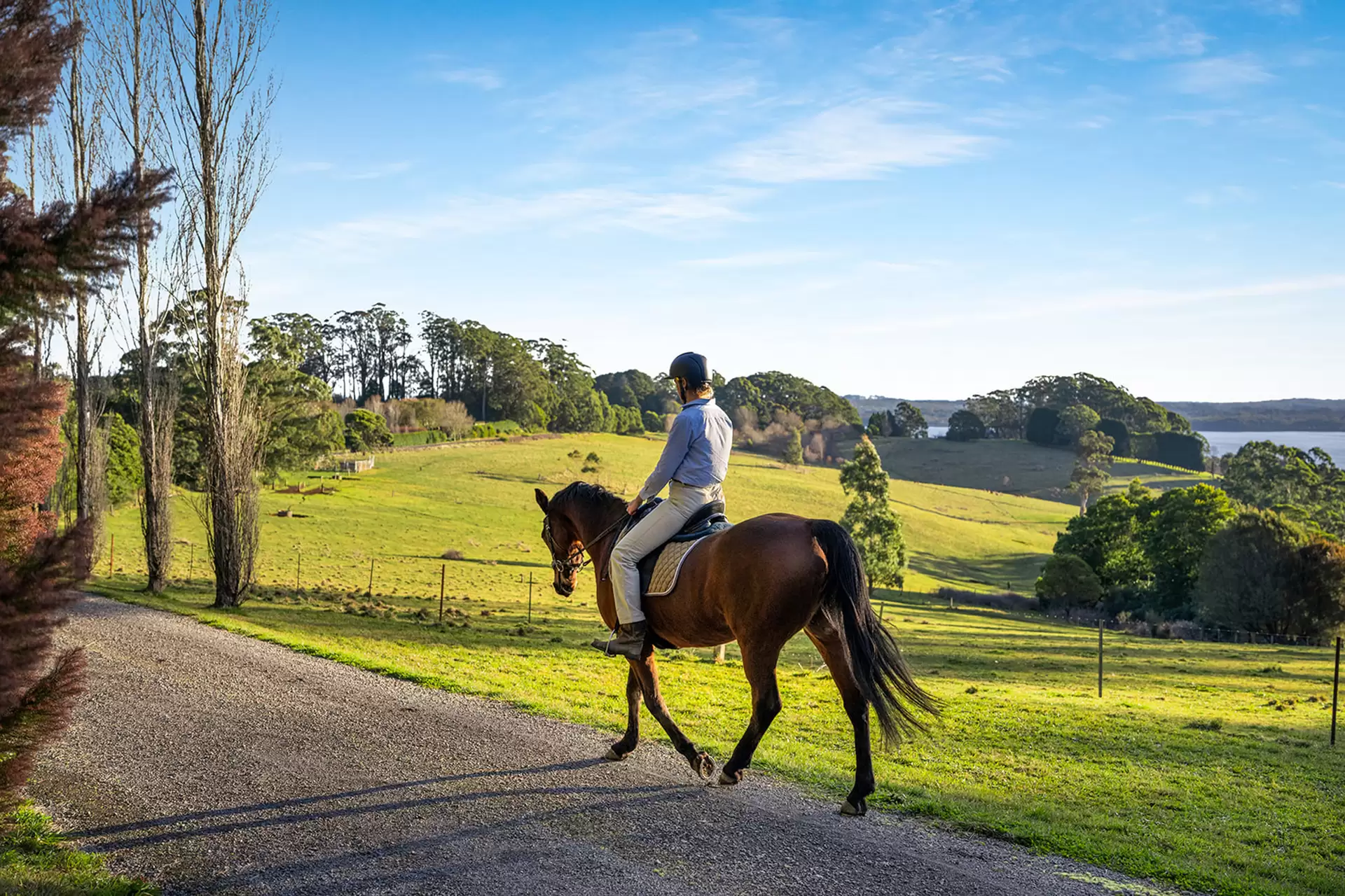 421 Myra Vale Road, Wildes Meadow For Sale by Drew Lindsay Sotheby's International Realty - image 13
