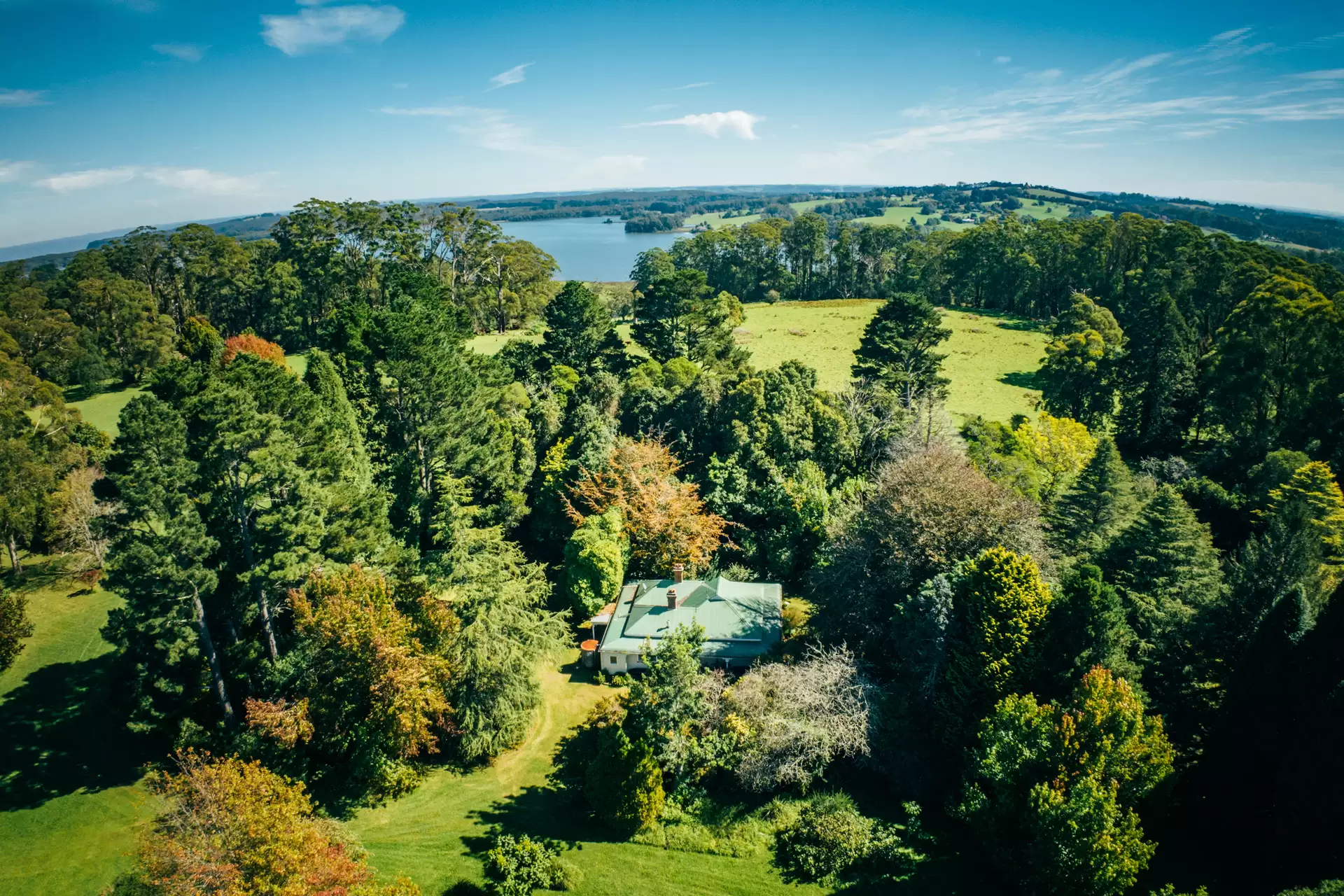 421 Myra Vale Road, Wildes Meadow For Sale by Drew Lindsay Sotheby's International Realty - image 5