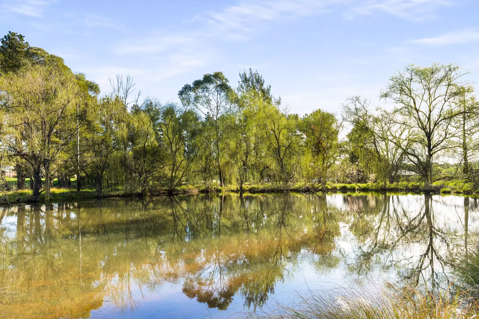 280 Kangaloon Road, Bowral For Sale by Drew Lindsay Sotheby's International Realty - image 10