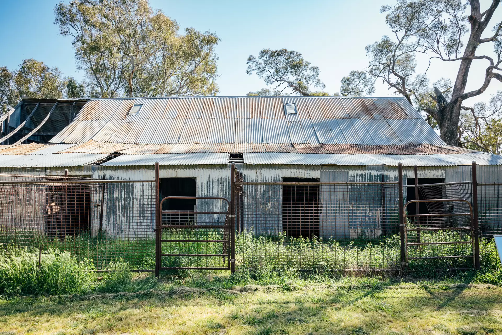 1301 Bedgerabong Road, Forbes Sold by Drew Lindsay Sotheby's International Realty - image 23