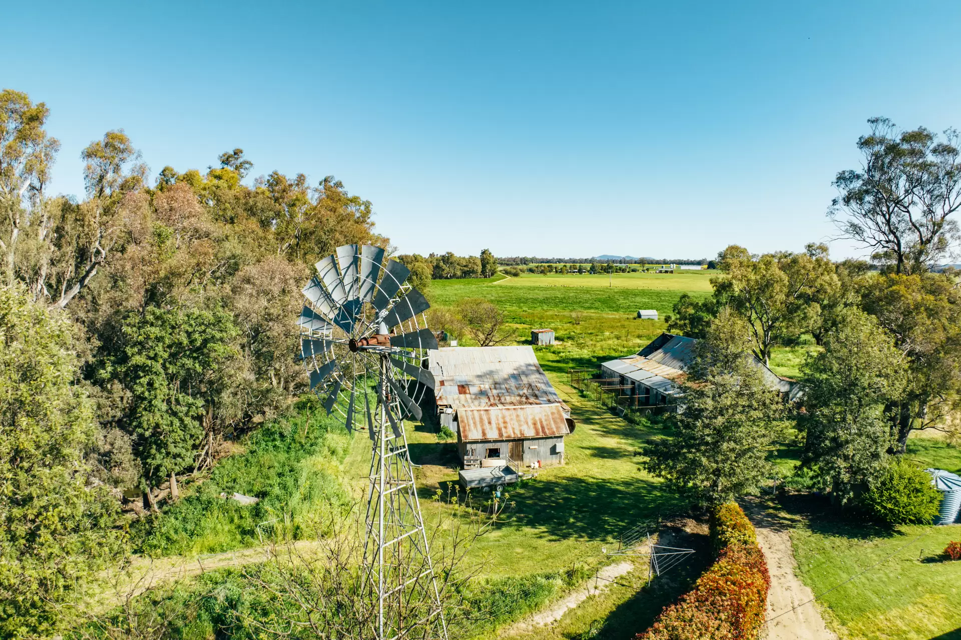 1301 Bedgerabong Road, Forbes Sold by Drew Lindsay Sotheby's International Realty - image 22