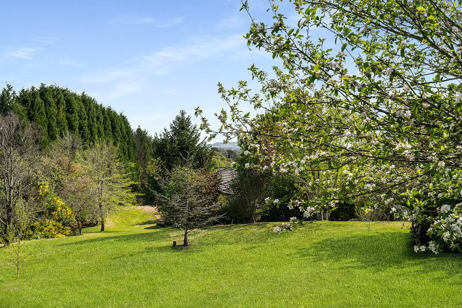 5 Carisbrooke Row, Bowral Sold by Drew Lindsay Sotheby's International Realty - image 22
