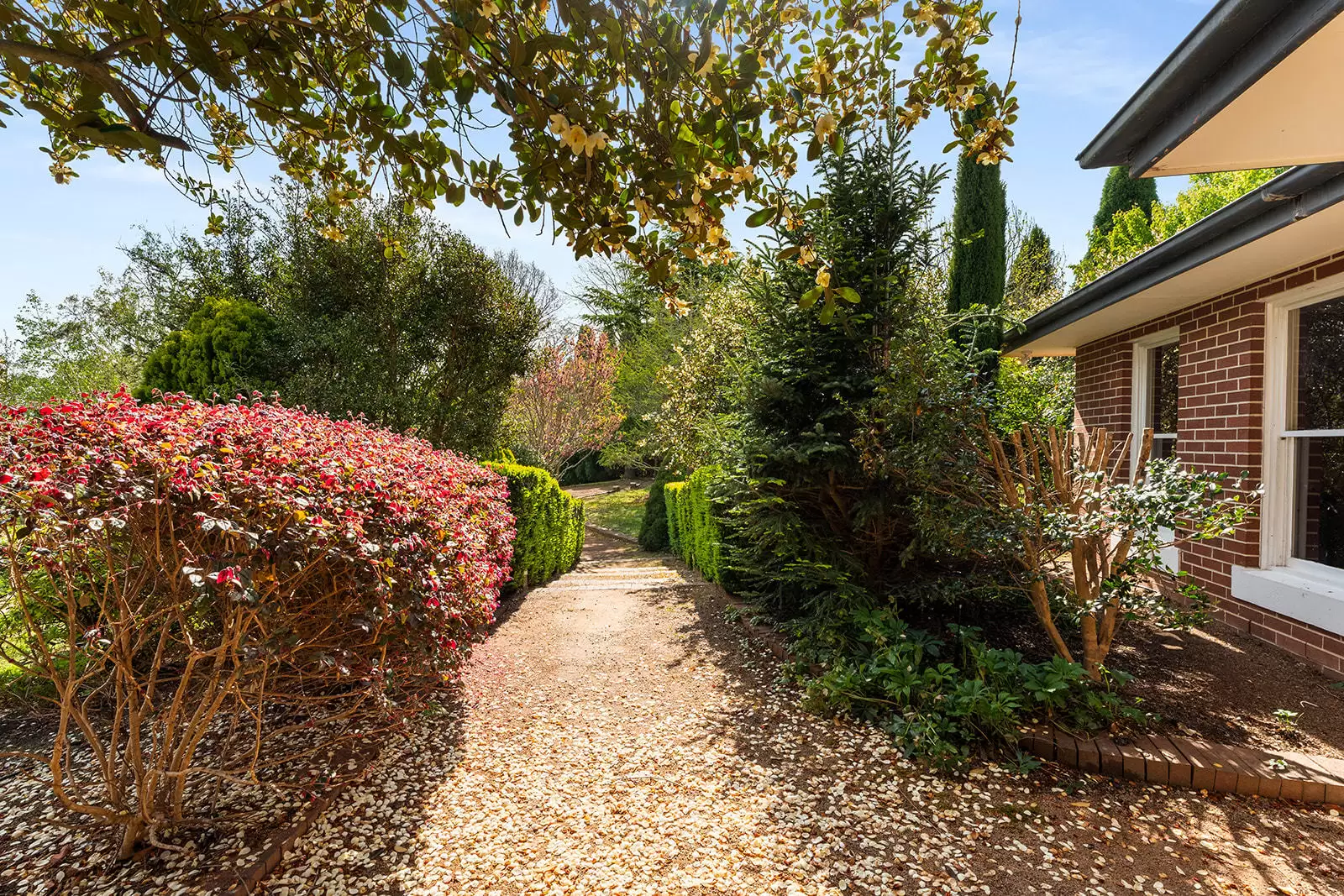 5 Carisbrooke Row, Bowral Sold by Drew Lindsay Sotheby's International Realty - image 18