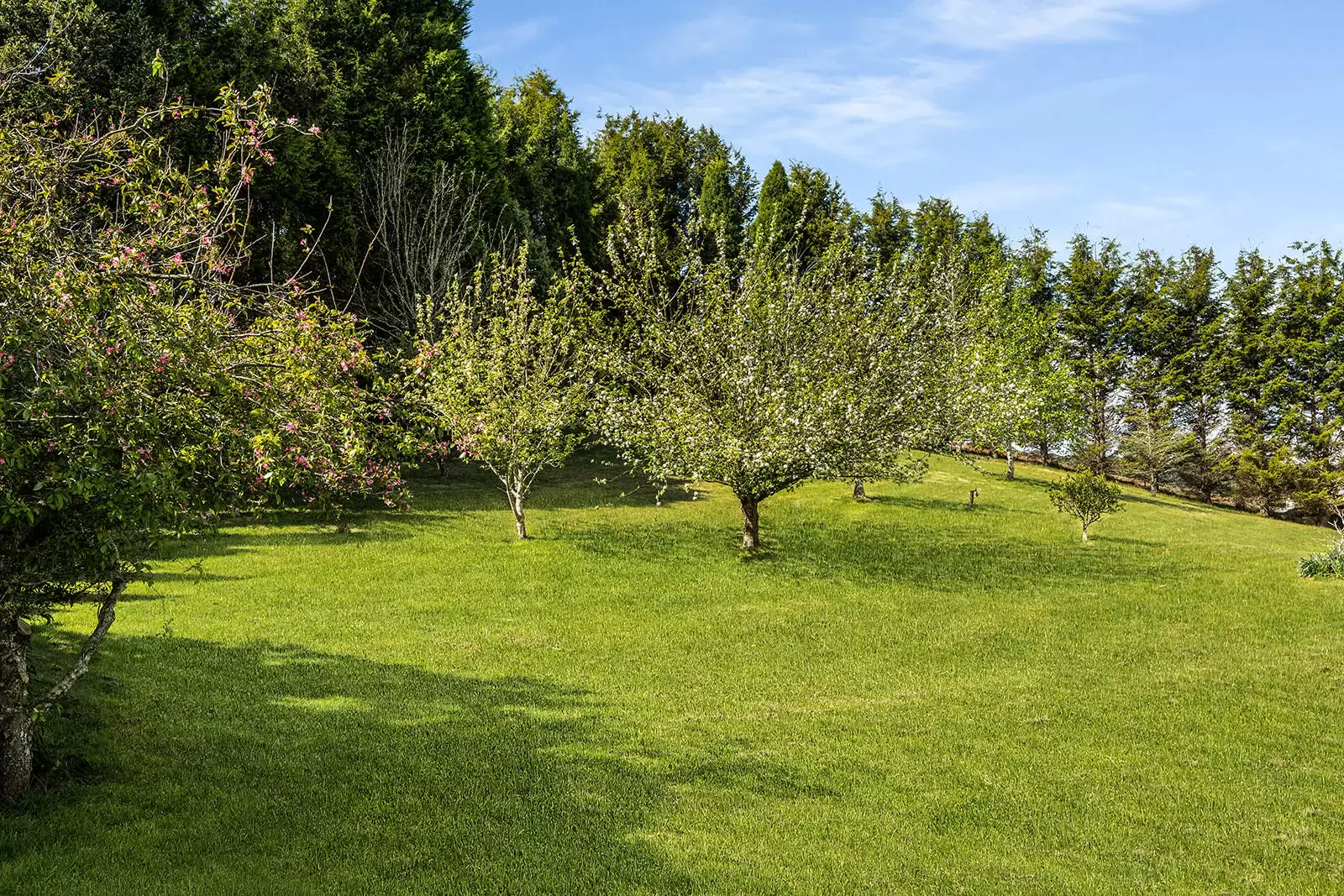 5 Carisbrooke Row, Bowral Sold by Drew Lindsay Sotheby's International Realty - image 21
