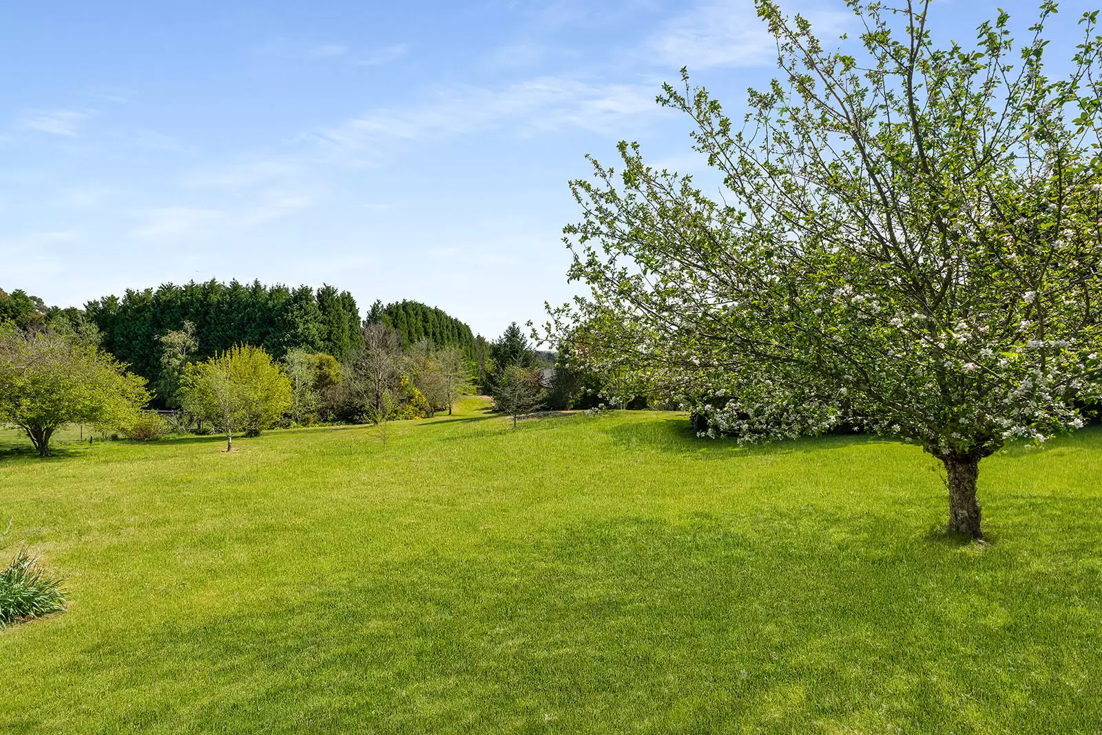 5 Carisbrooke Row, Bowral Sold by Drew Lindsay Sotheby's International Realty - image 23