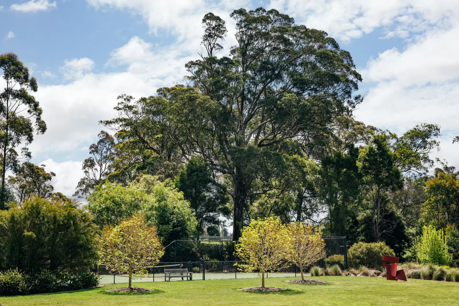 75 Spring Hill Road, Woodlands Sold by Drew Lindsay Sotheby's International Realty - image 19