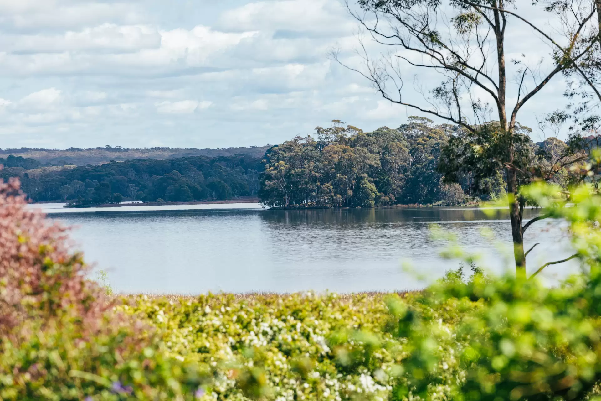 262 Blencowes Lane, Wildes Meadow Sold by Drew Lindsay Sotheby's International Realty - image 24