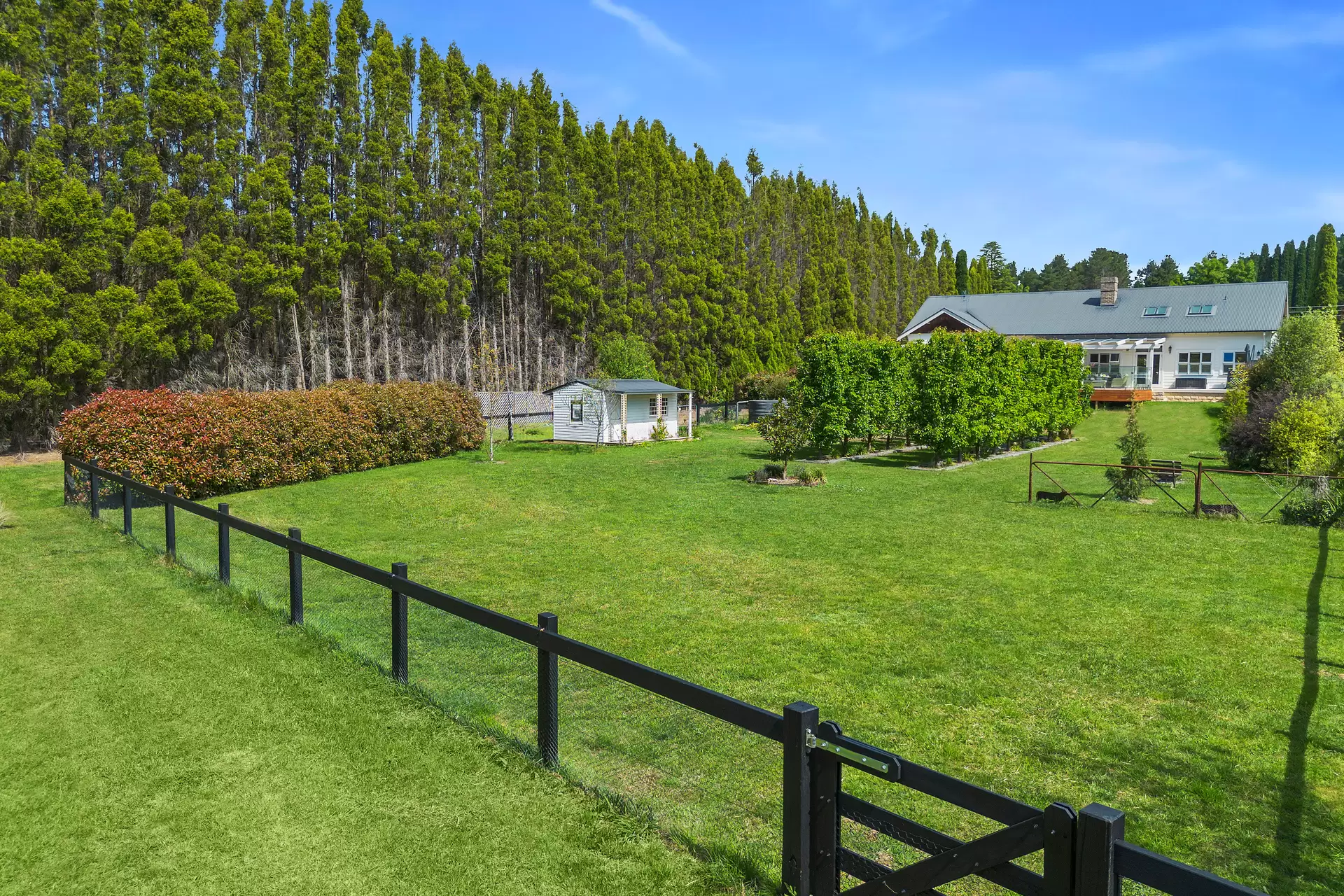 22 Holly Road, Burradoo Sold by Drew Lindsay Sotheby's International Realty - image 19