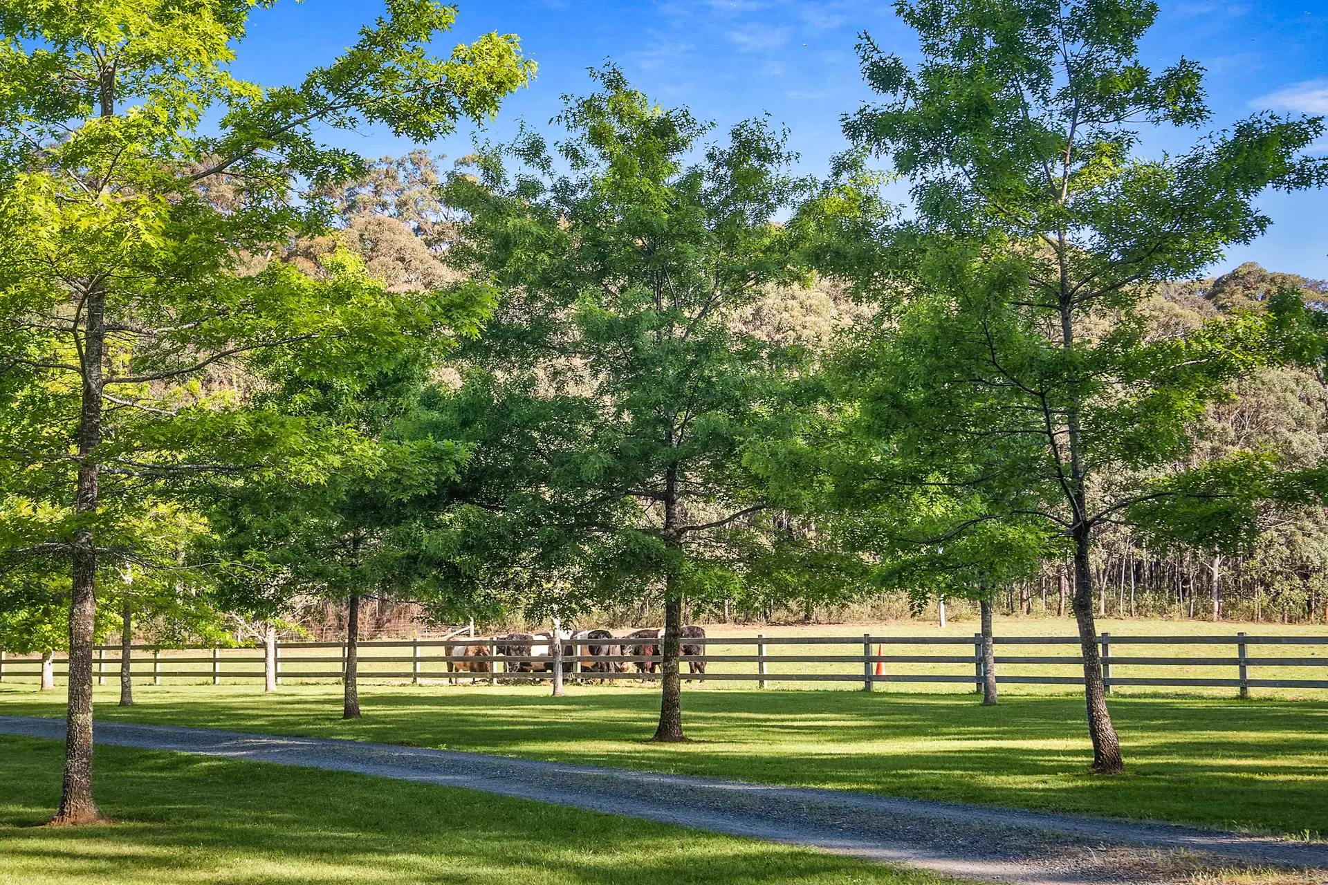 1035 Meryla Road, Meryla Sold by Drew Lindsay Sotheby's International Realty - image 21