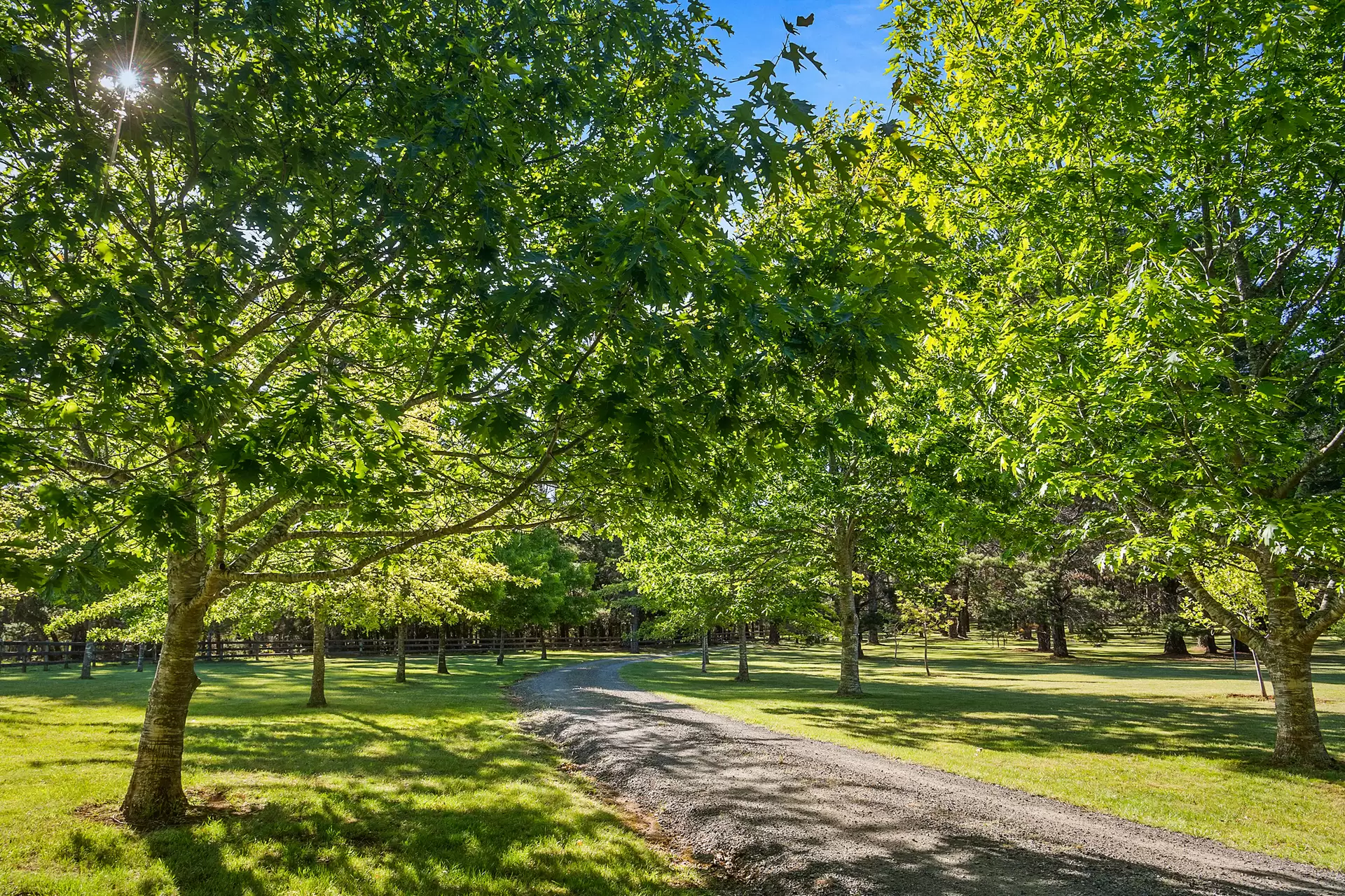 1035 Meryla Road, Meryla Sold by Drew Lindsay Sotheby's International Realty - image 18