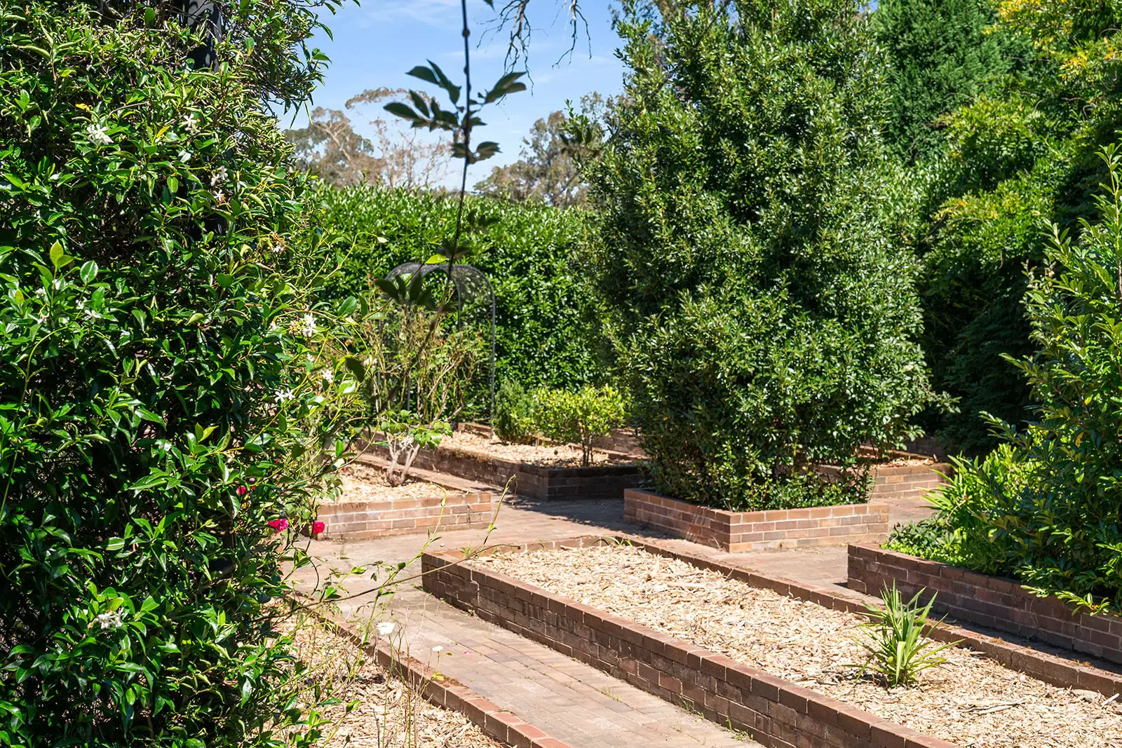 11 Links Road, Burradoo Sold by Drew Lindsay Sotheby's International Realty - image 24