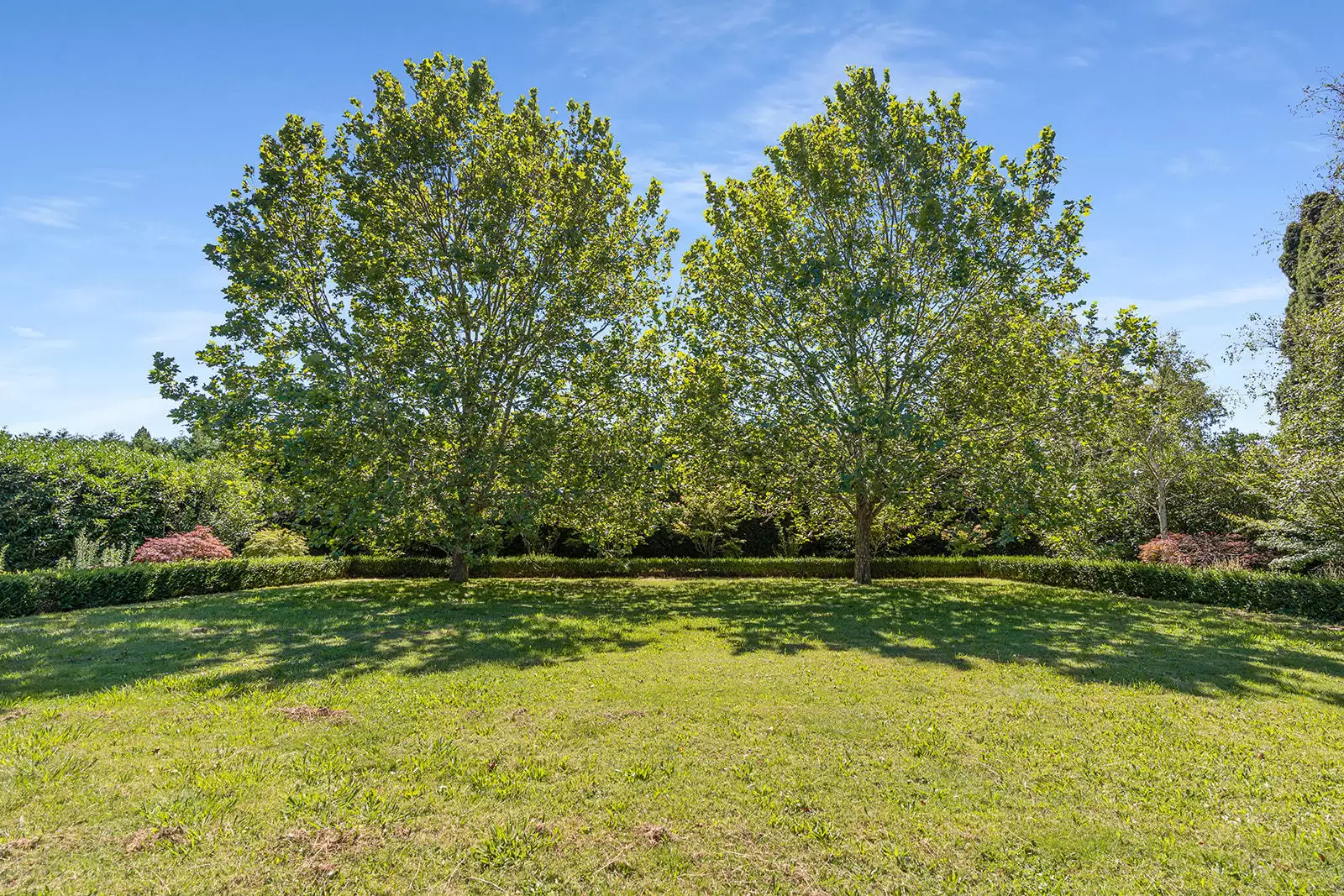 11 Links Road, Burradoo Sold by Drew Lindsay Sotheby's International Realty - image 23