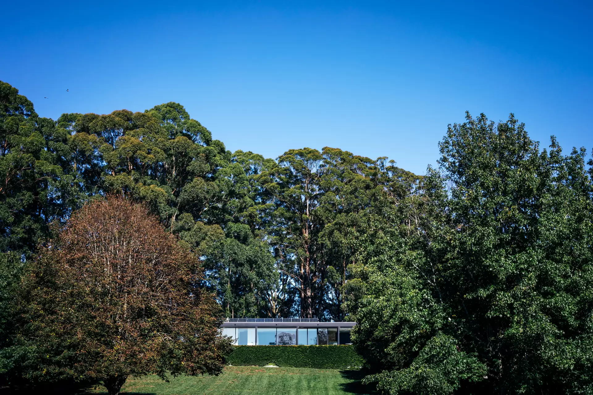 Wildes Meadow Sold by Drew Lindsay Sotheby's International Realty - image 2