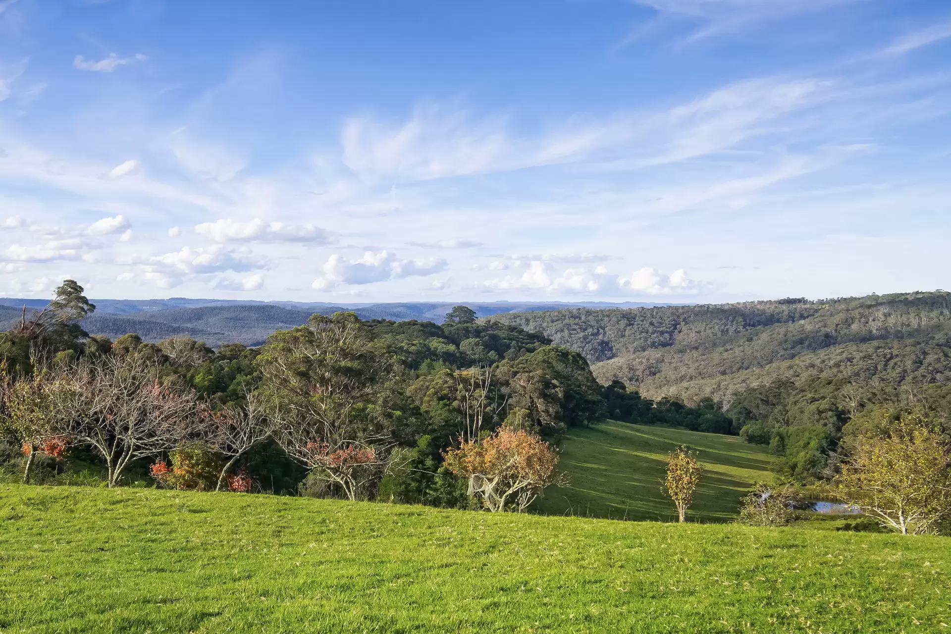 1639 Caoura Road, Tallong Sold by Drew Lindsay Sotheby's International Realty - image 3