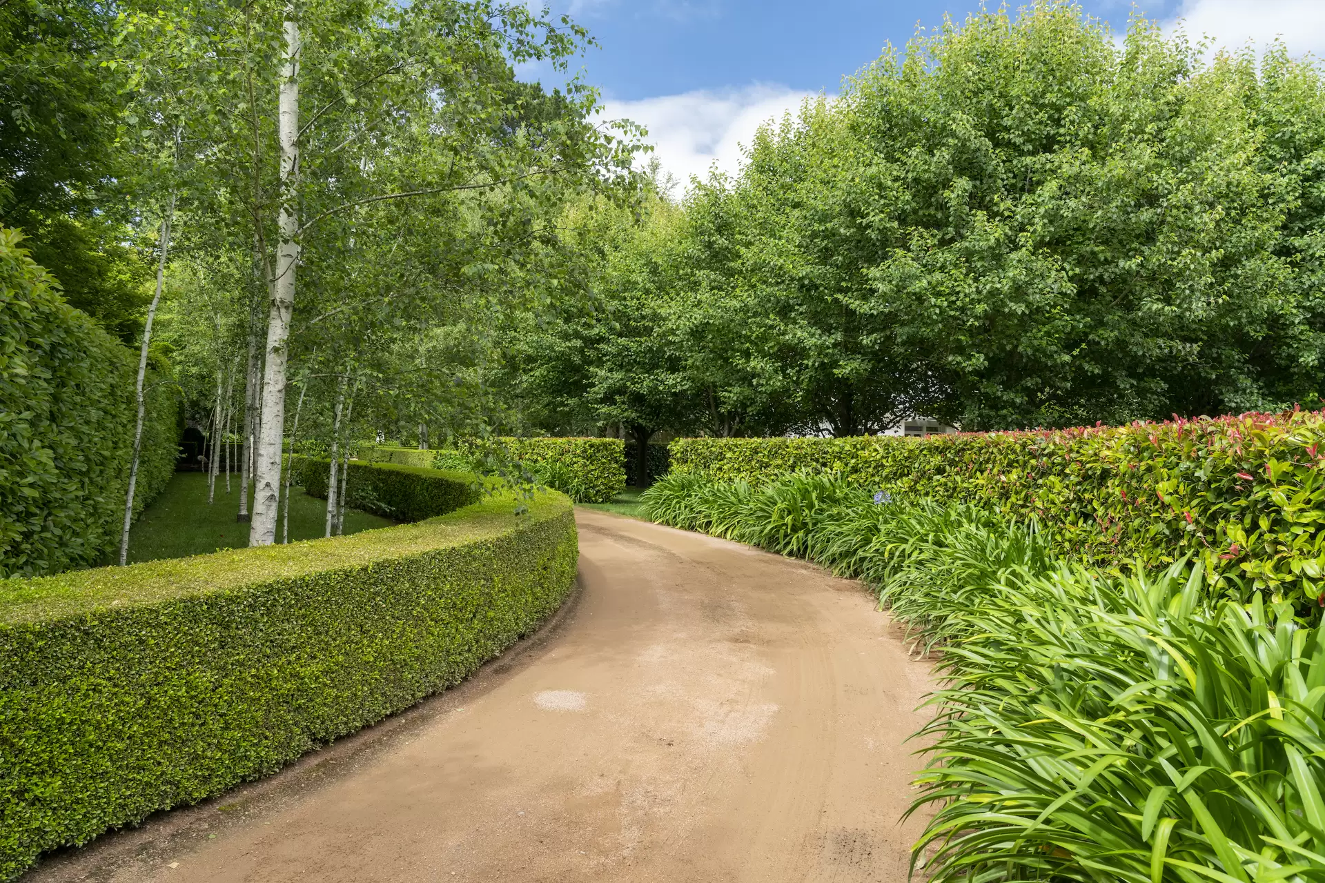 22 Ranelagh Road, Burradoo Sold by Drew Lindsay Sotheby's International Realty - image 3