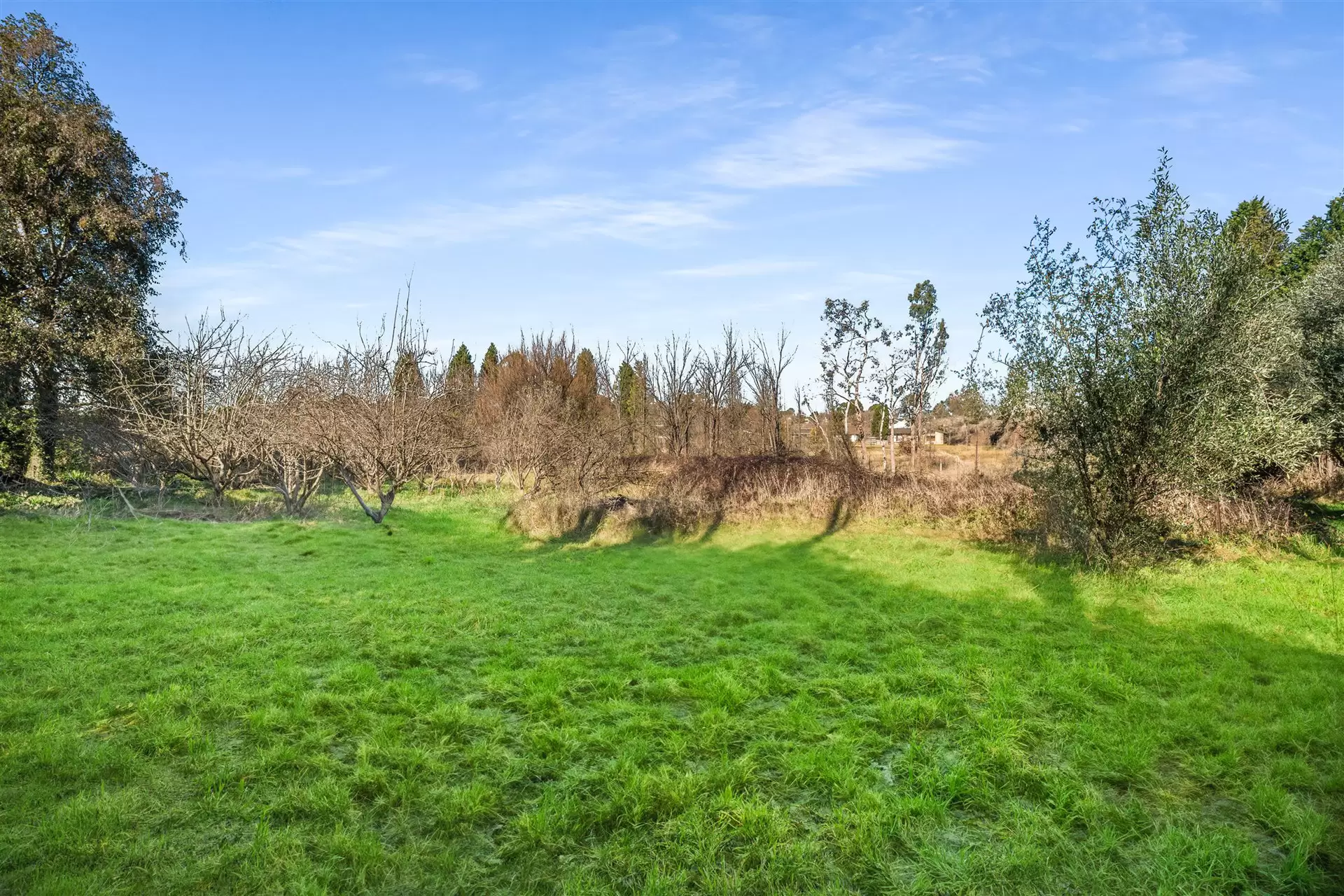 159 Bowral Street, Bowral Sold by Drew Lindsay Sotheby's International Realty - image 12