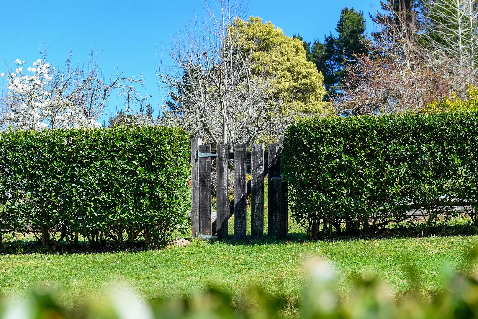 51 Shierlaw Road, Robertson For Sale by Drew Lindsay Sotheby's International Realty - image 9
