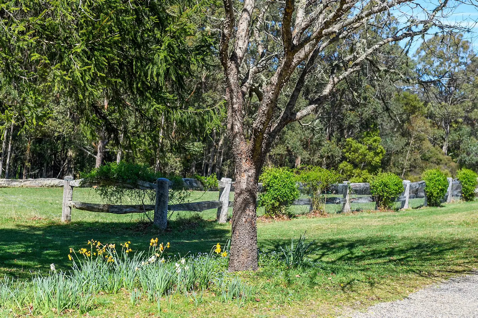 51 Shierlaw Road, Robertson For Sale by Drew Lindsay Sotheby's International Realty - image 29