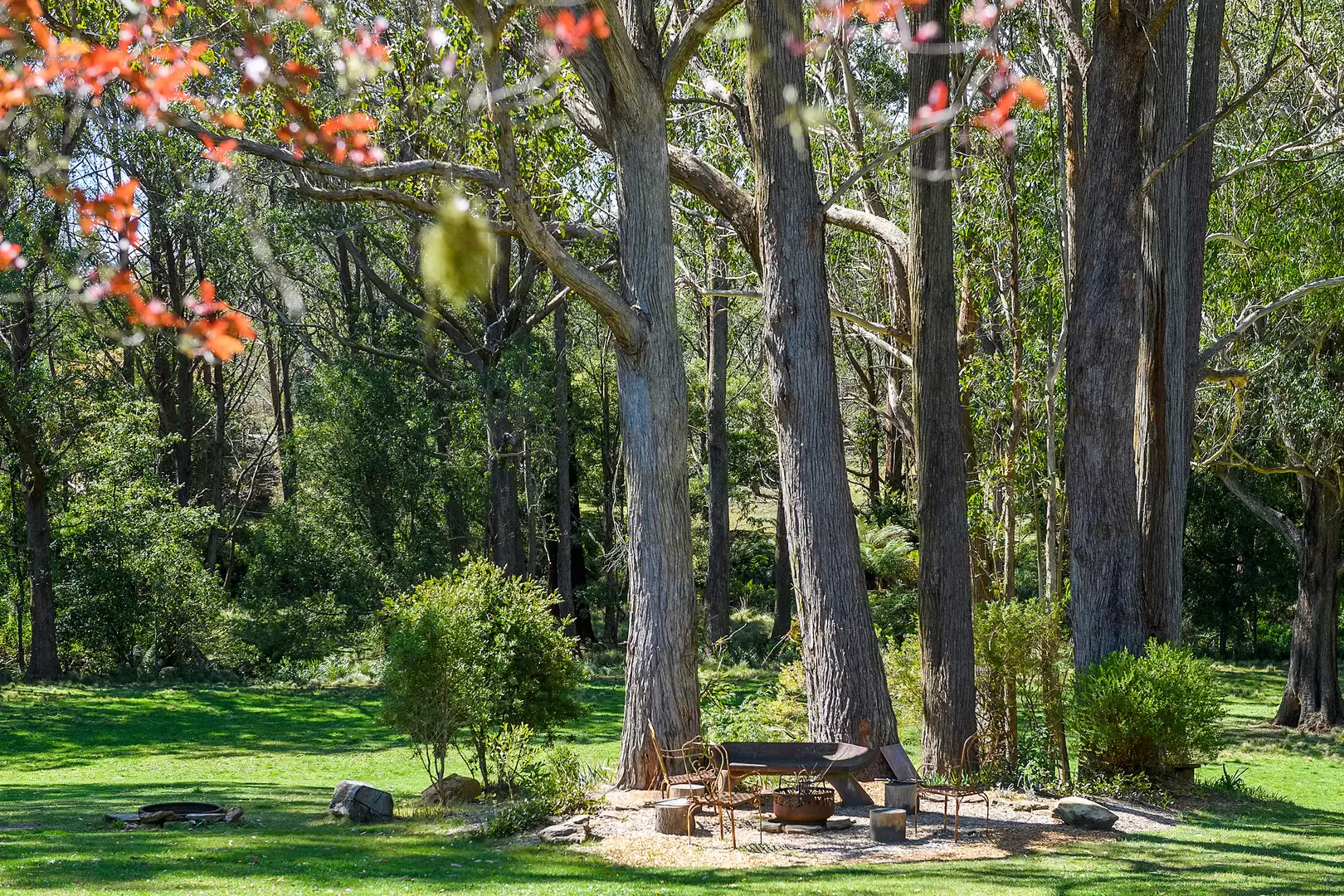 51 Shierlaw Road, Robertson For Sale by Drew Lindsay Sotheby's International Realty - image 24