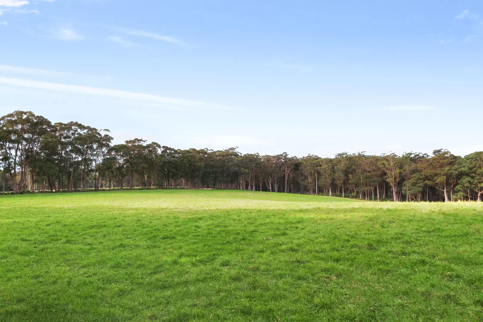 51 Shierlaw Road, Robertson For Sale by Drew Lindsay Sotheby's International Realty - image 22