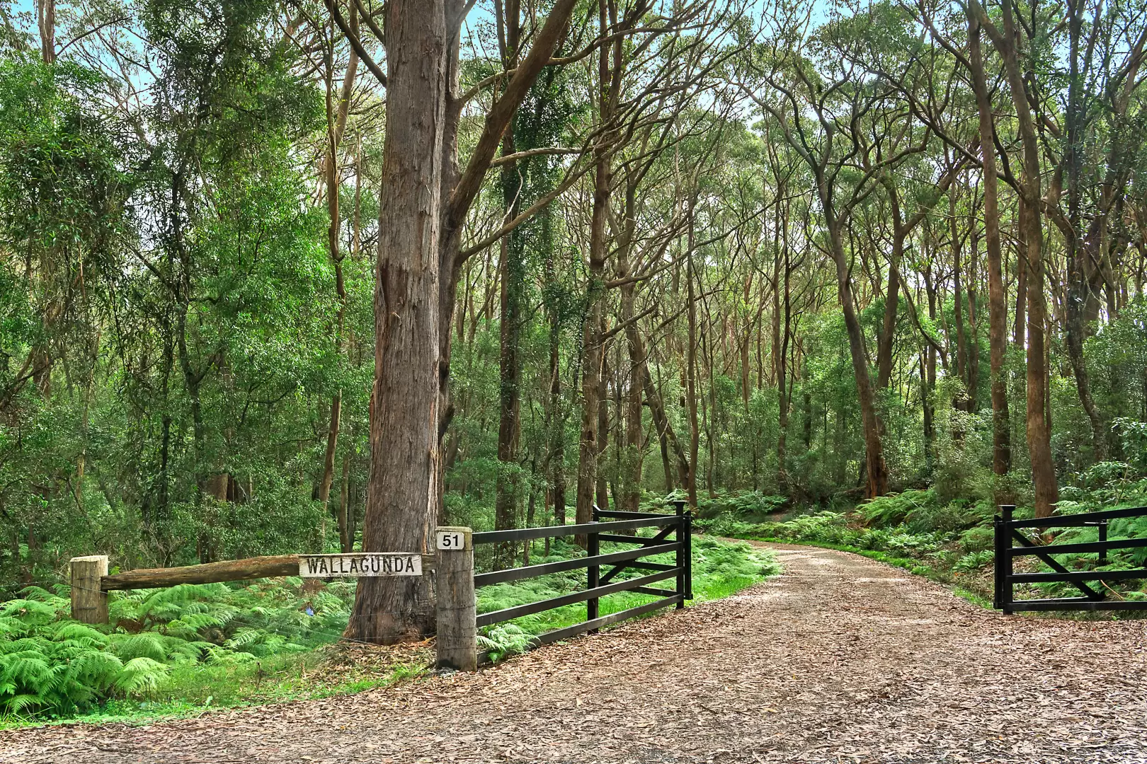51 Shierlaw Road, Robertson For Sale by Drew Lindsay Sotheby's International Realty - image 31