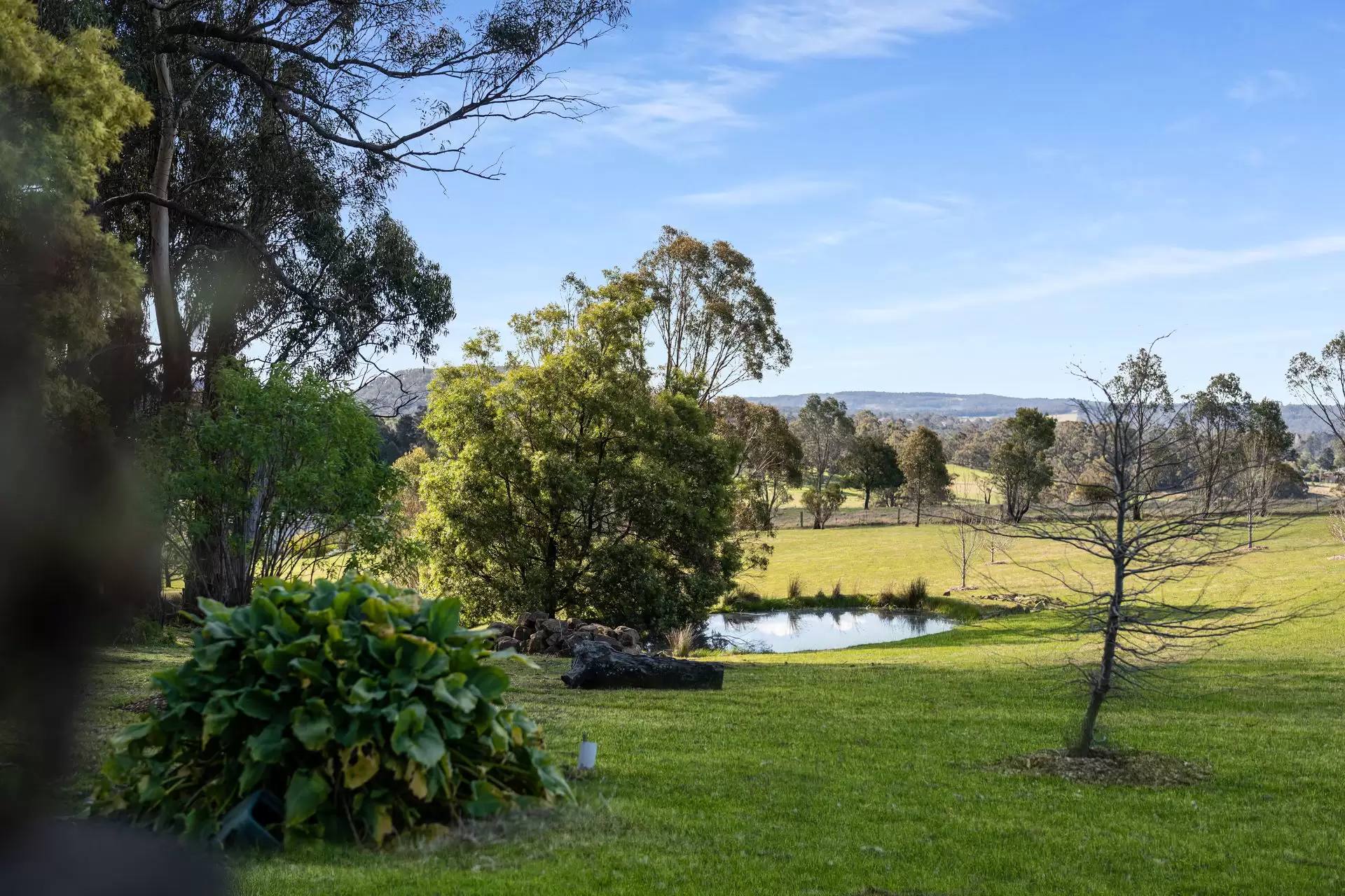 3 Argyle Street, Mittagong For Sale by Drew Lindsay Sotheby's International Realty - image 3