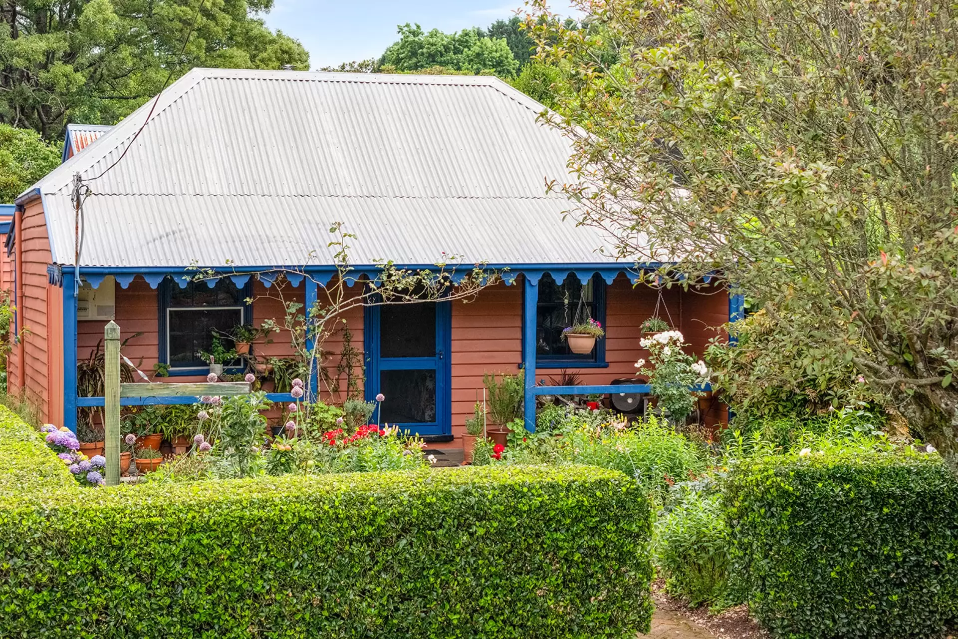 23 Hoddle Street, Burrawang Sold by Drew Lindsay Sotheby's International Realty - image 19