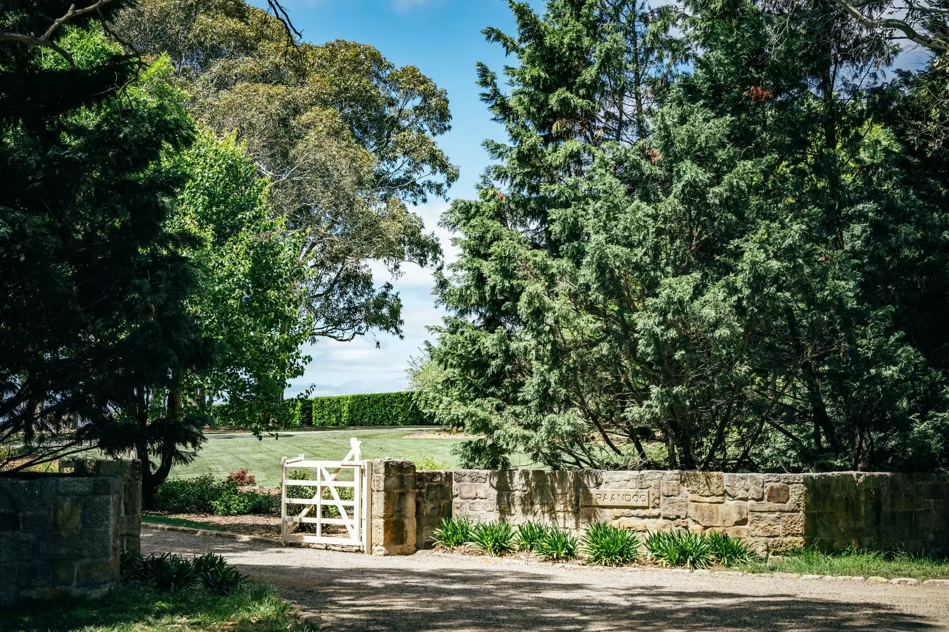 35 Mandemar Lane, Mandemar Sold by Drew Lindsay Sotheby's International Realty - image 7