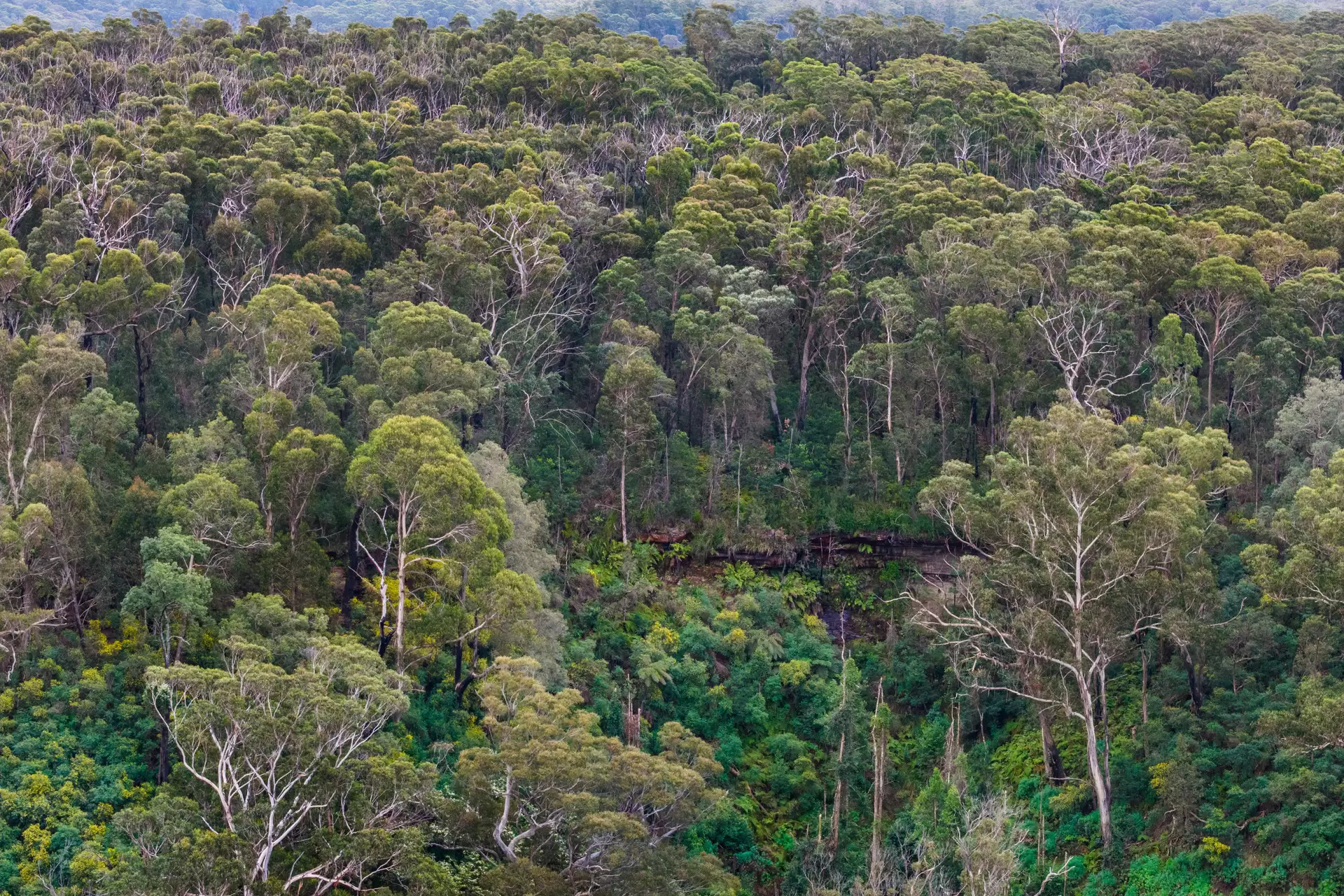 161 Teudts Road, Bundanoon Sold by Drew Lindsay Sotheby's International Realty - image 9