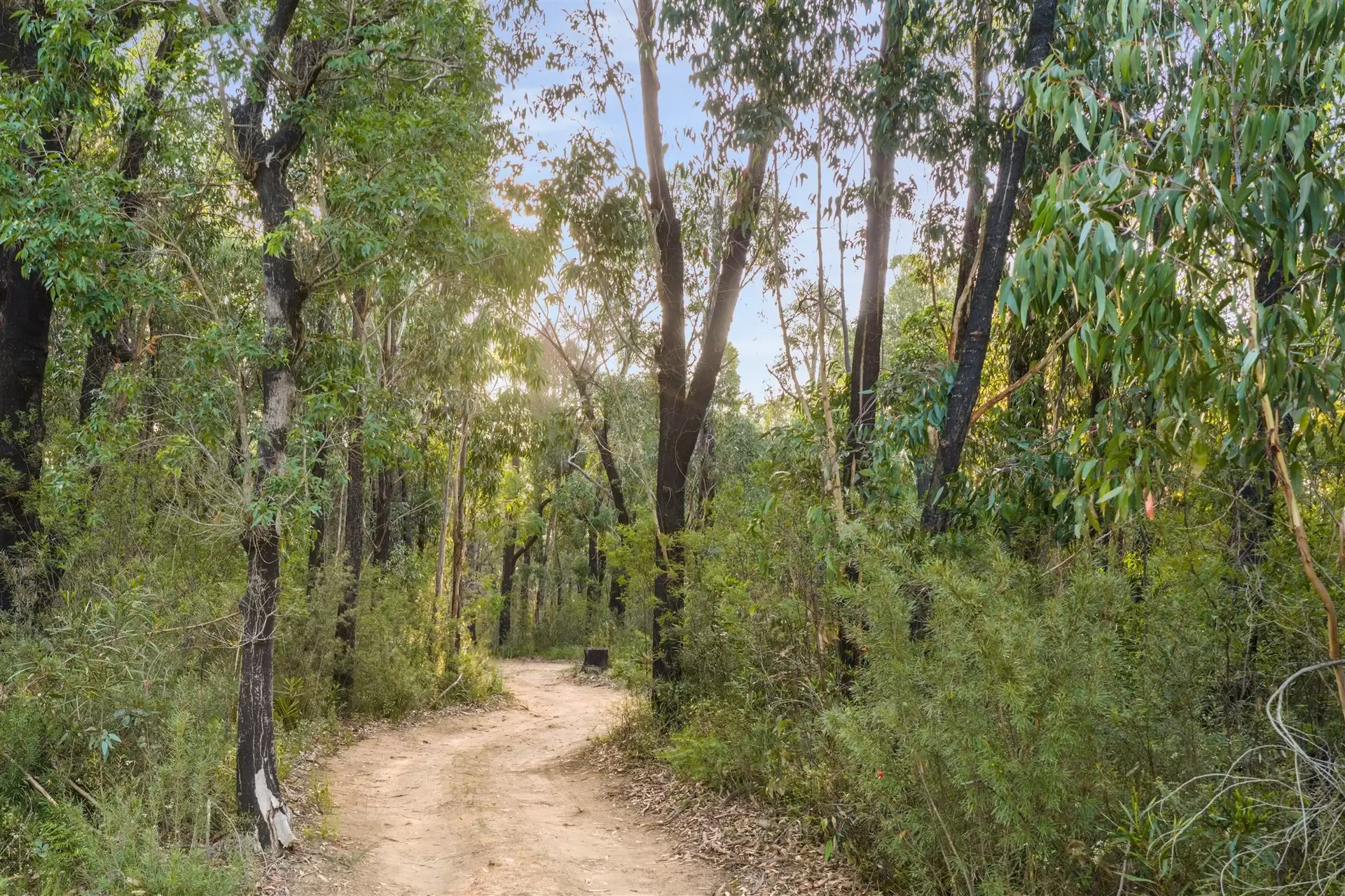161 Teudts Road, Bundanoon Sold by Drew Lindsay Sotheby's International Realty - image 6