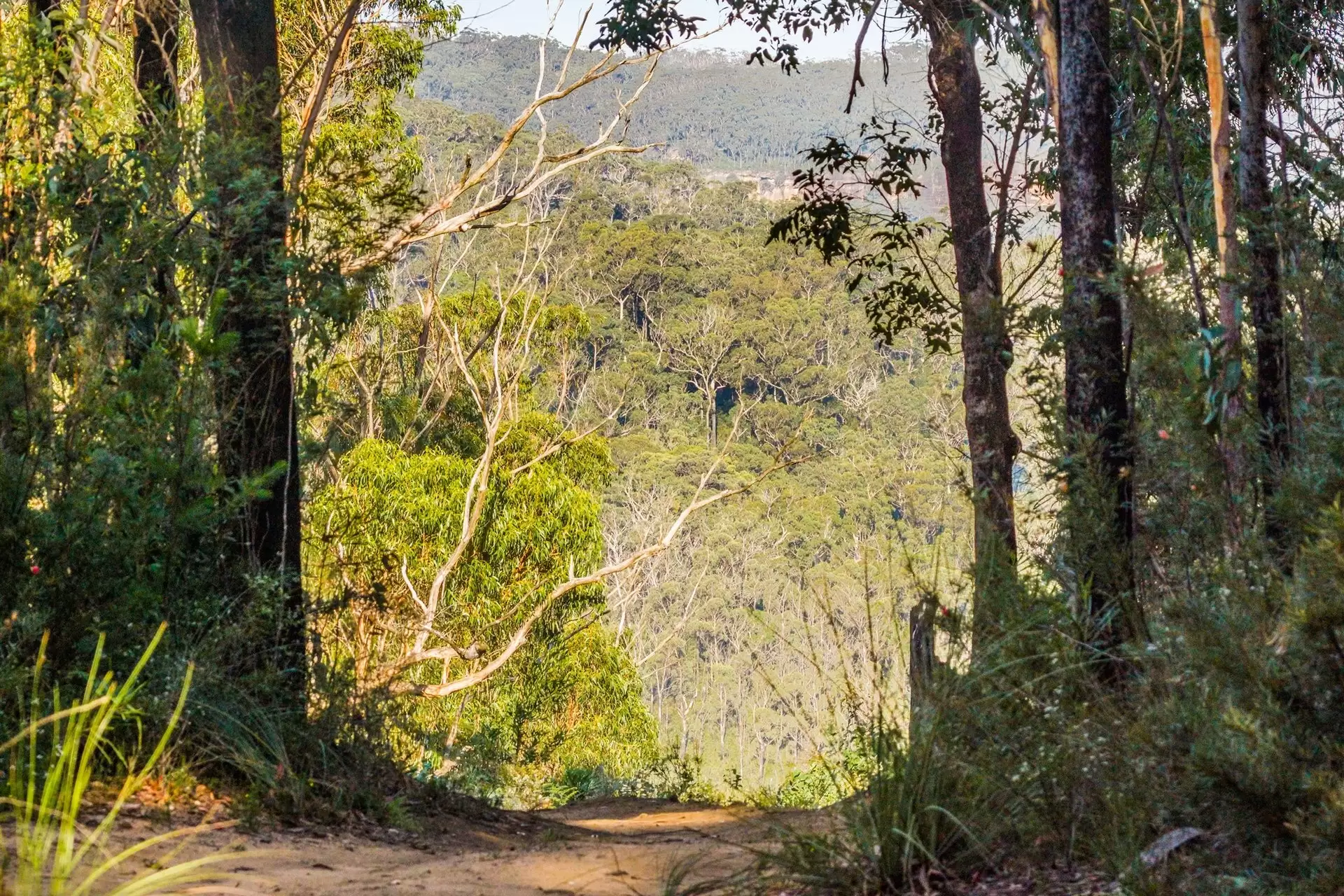 161 Teudts Road, Bundanoon Sold by Drew Lindsay Sotheby's International Realty - image 4
