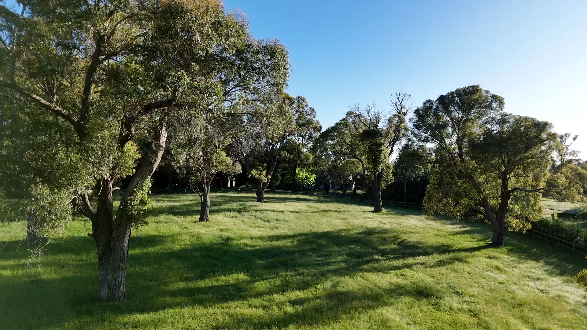 35 Elizabeth Street, Burradoo Sold by Drew Lindsay Sotheby's International Realty - image 26