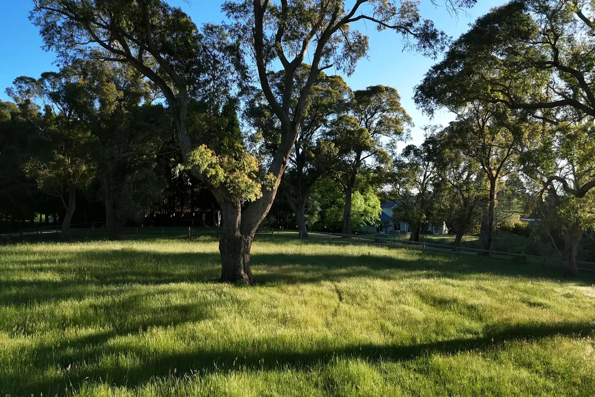35 Elizabeth Street, Burradoo Sold by Drew Lindsay Sotheby's International Realty - image 25