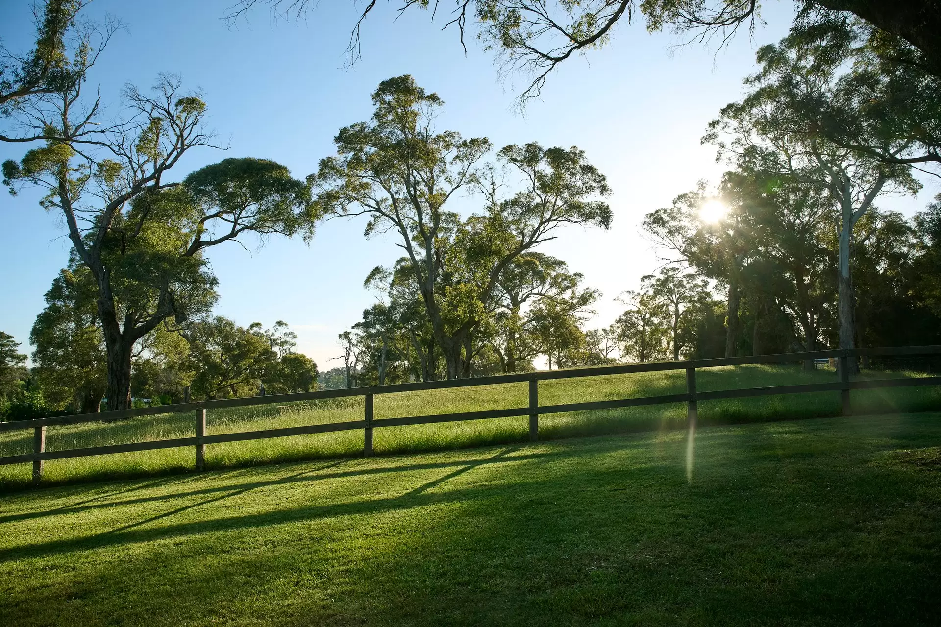 35 Elizabeth Street, Burradoo Sold by Drew Lindsay Sotheby's International Realty - image 24